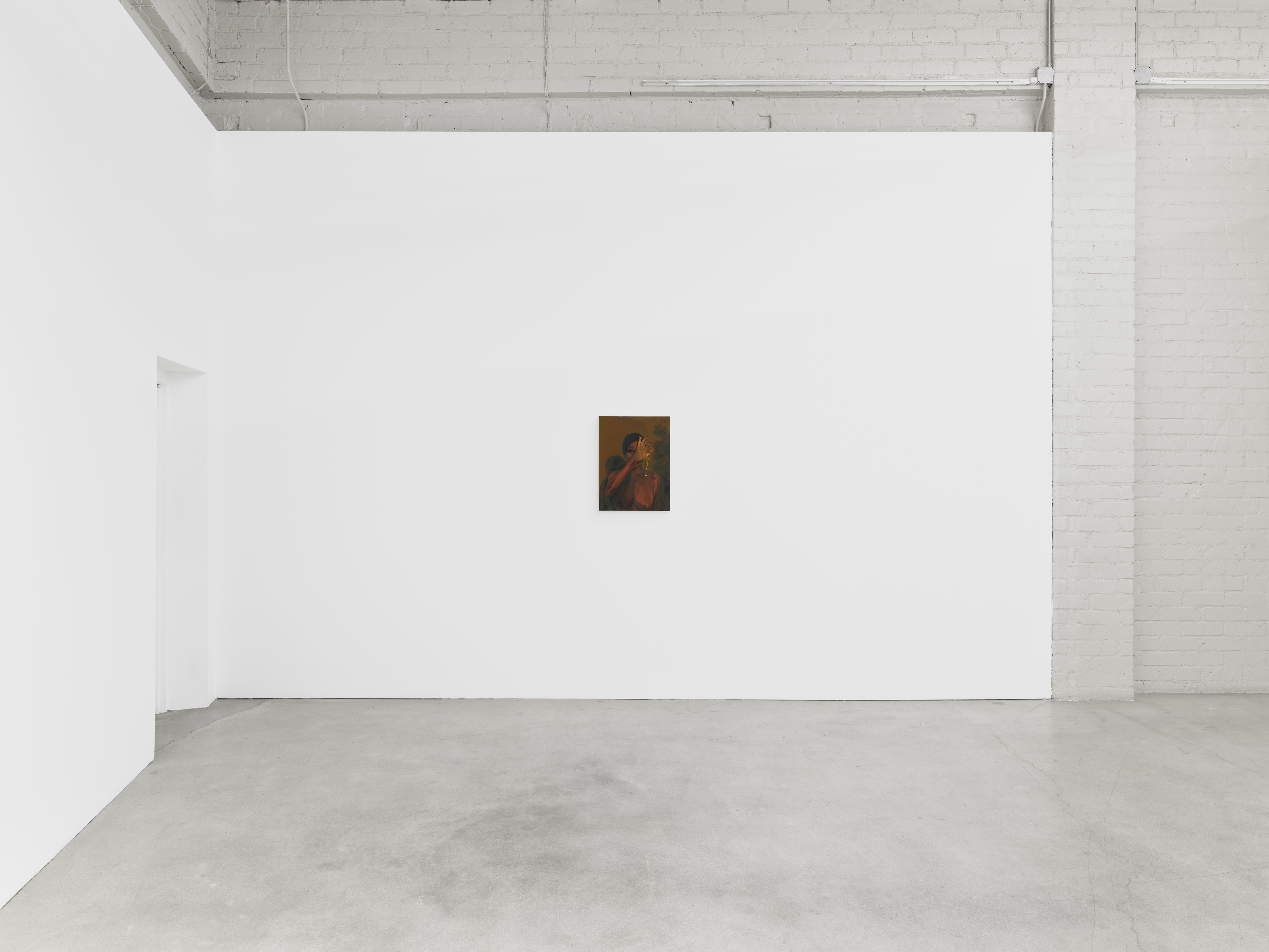 Danielle Mckinney,&amp;nbsp;Smoke and Mirrors, installation view, 2021