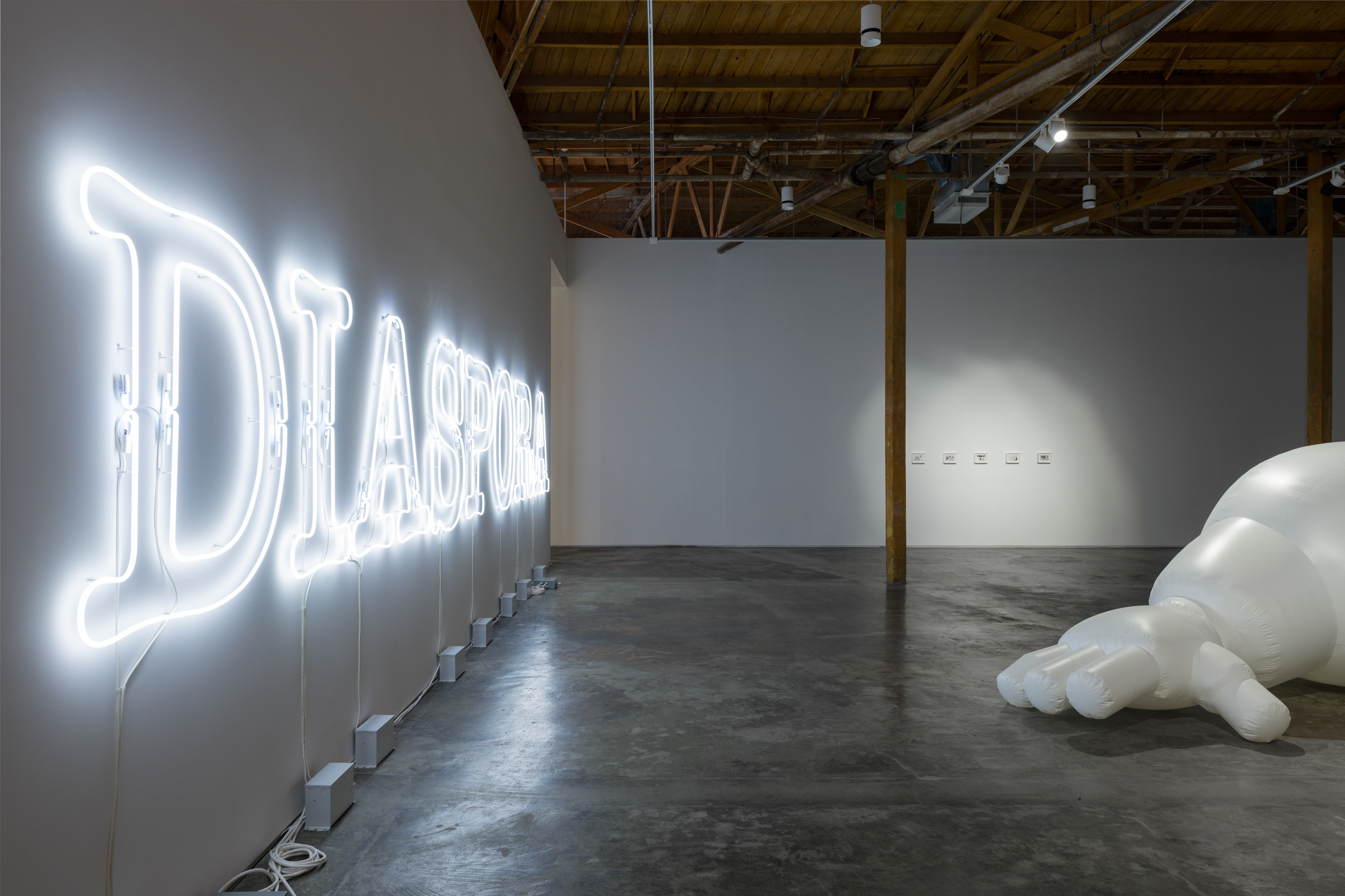 Installation view of Divya Mehra's "The End of You" at Night Gallery.