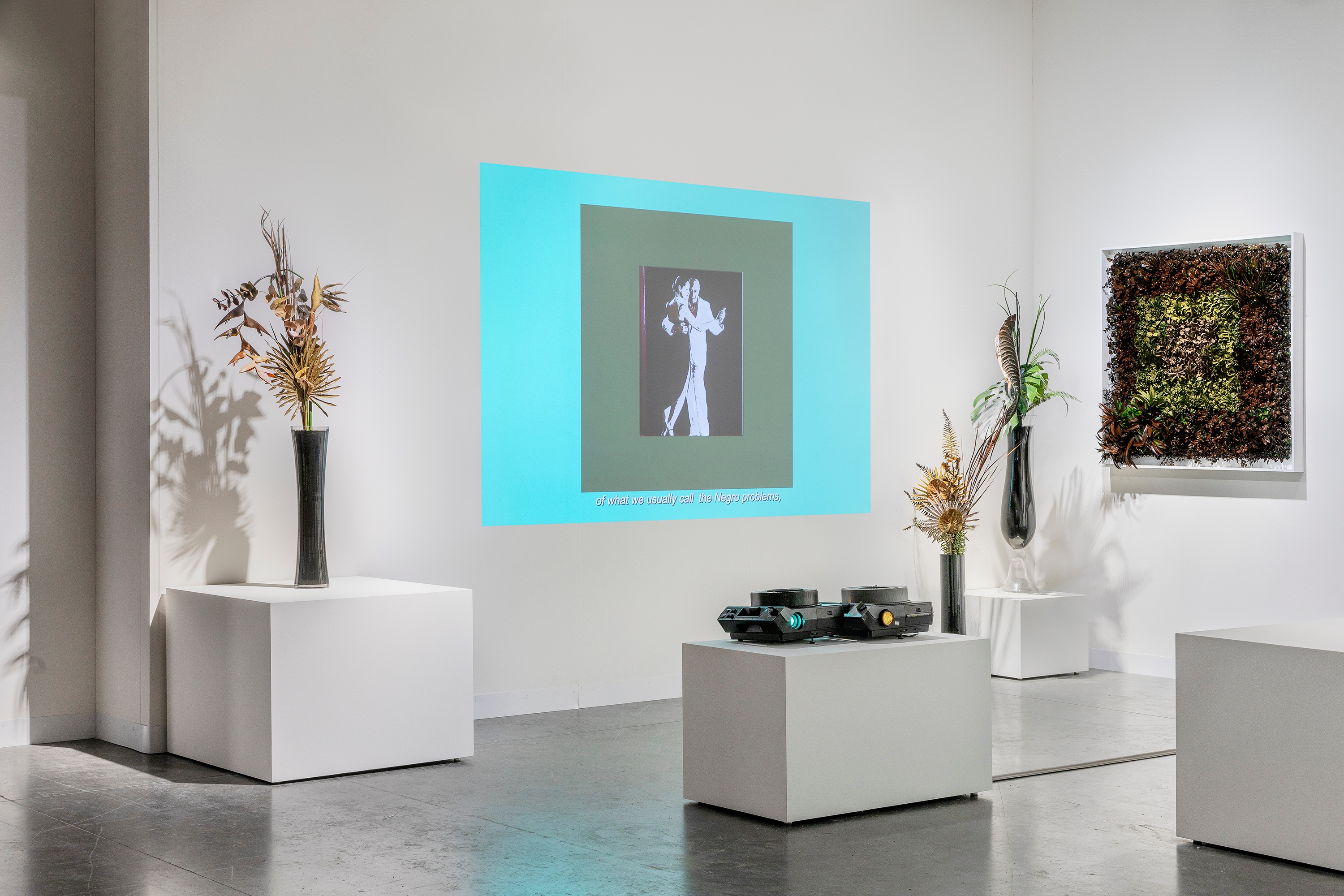 Kandis Williams, A Garden, installation view at Art Basel Miami Beach, 2021