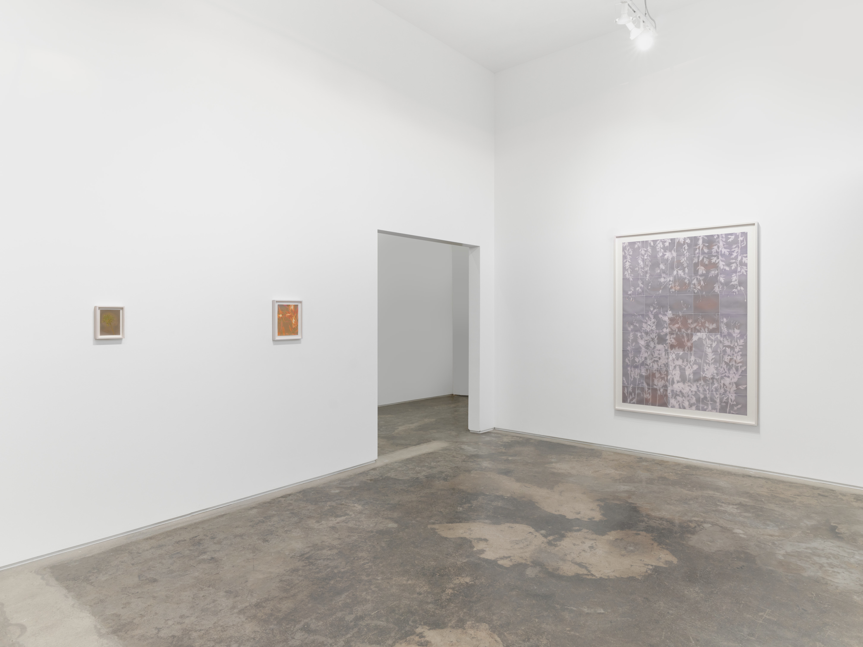 Installation view of photo based exhibition by Lily Kwong 