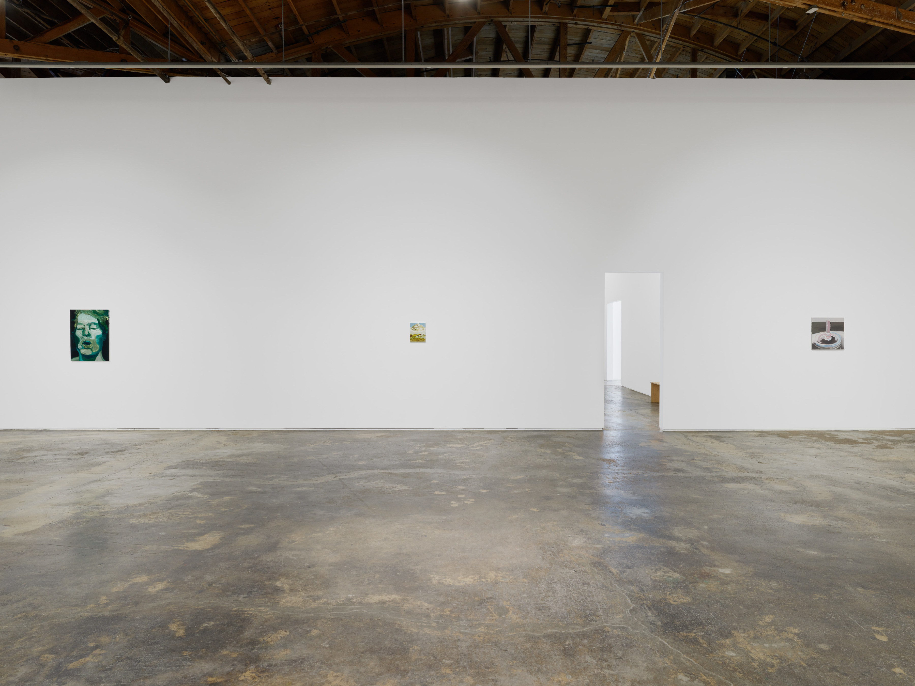 Installation view of Clare Woods’ “I Blame Nature” at Night Gallery