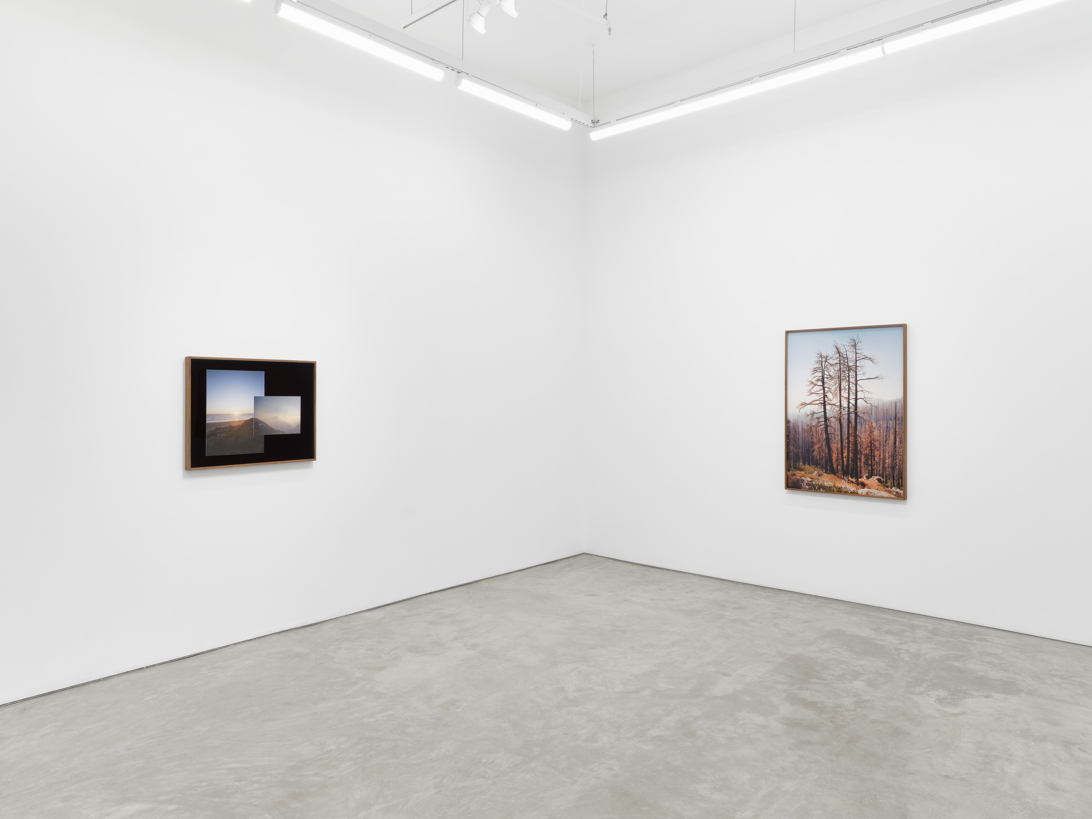 Installation view of Elise Rasmussen's "the beautiful" at Night Gallery