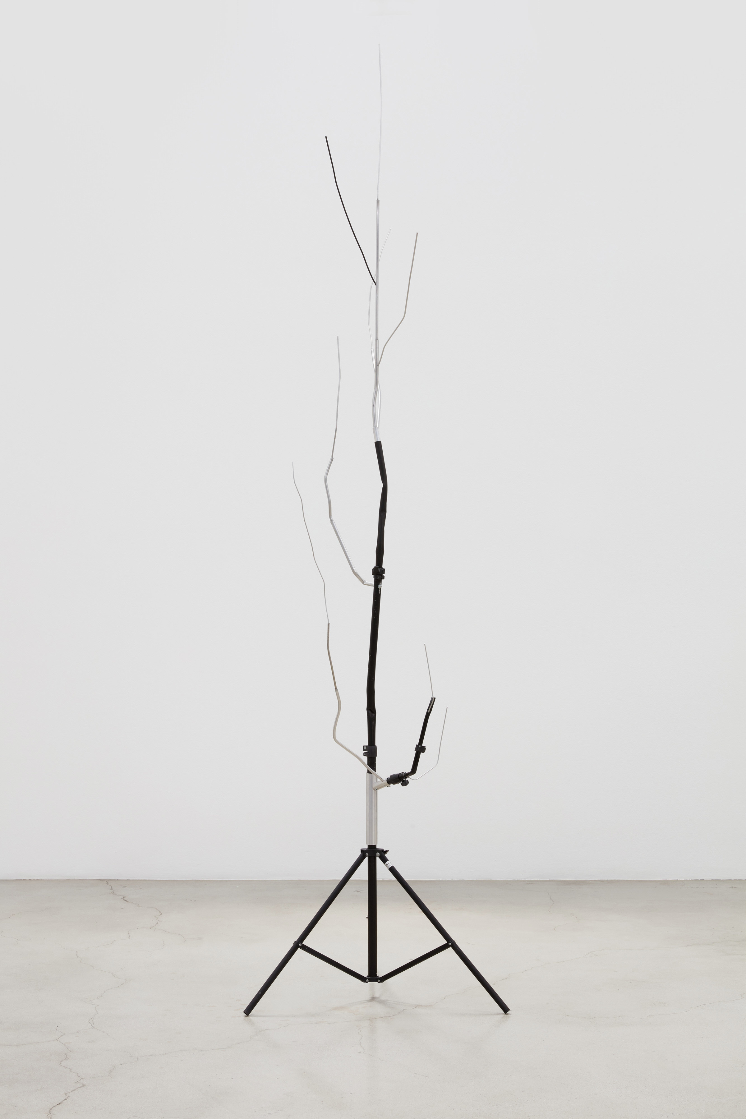Josh Callaghan, Sprouted Light Stand II, 2022