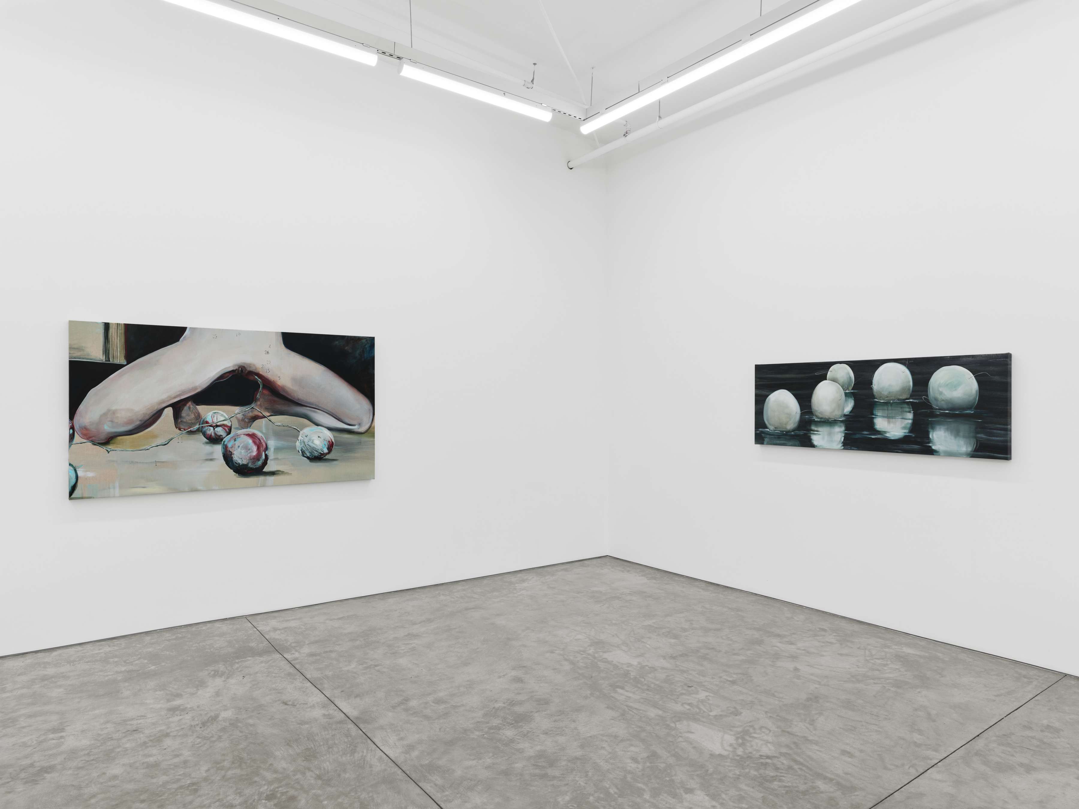 Installation view of Connor Marie Stankard’s exhibition “Love Apple” at Night Gallery