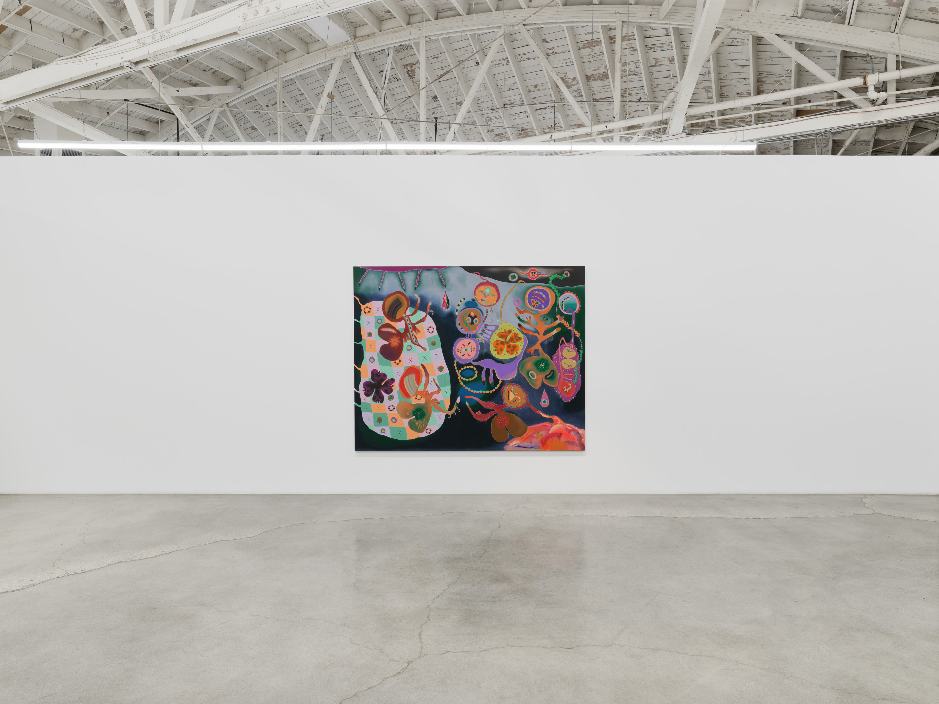  Installation view of “Tickles, Dance, and Goosebump Blooms”