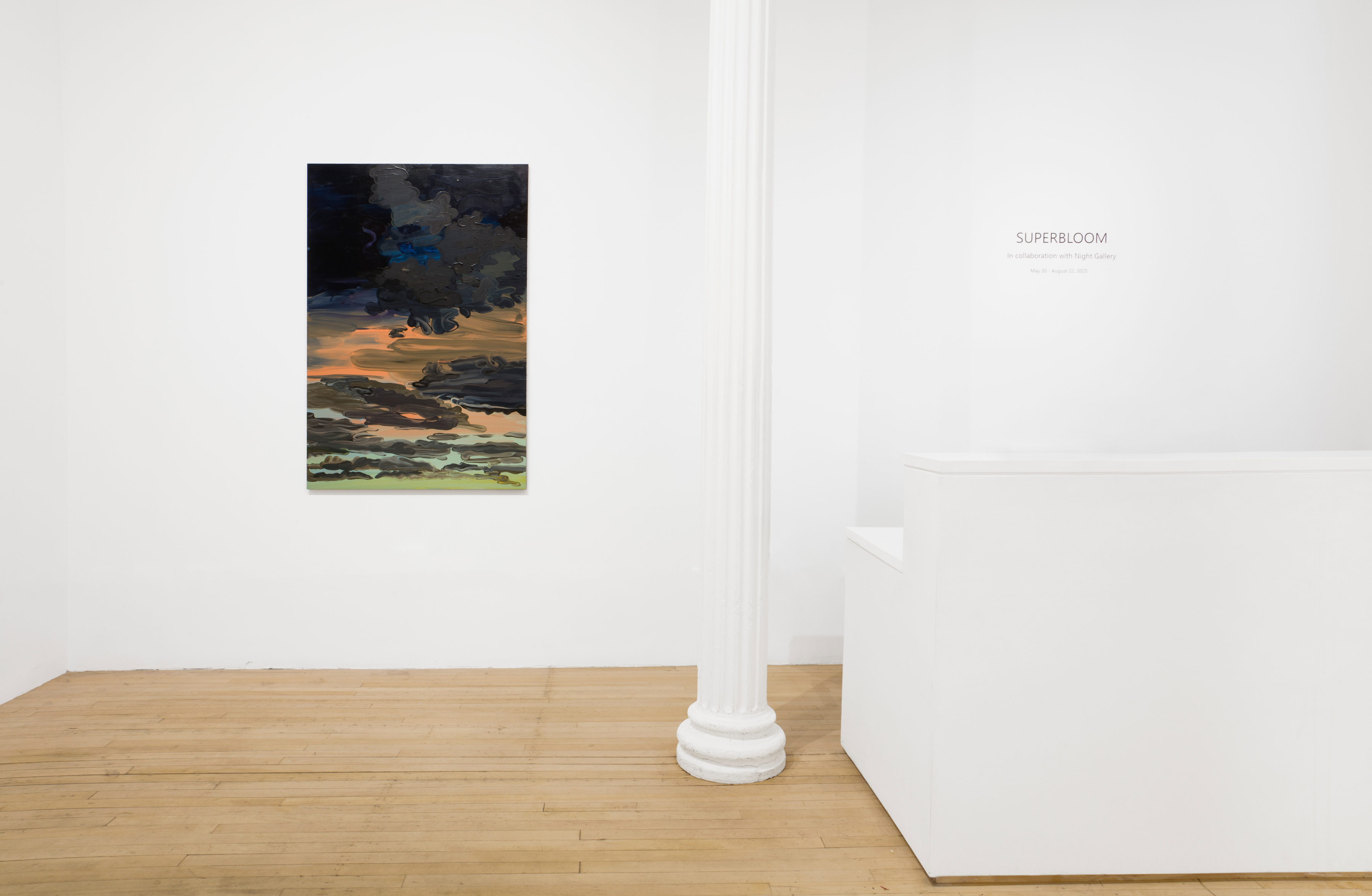 Installation view of "Superbloom"
