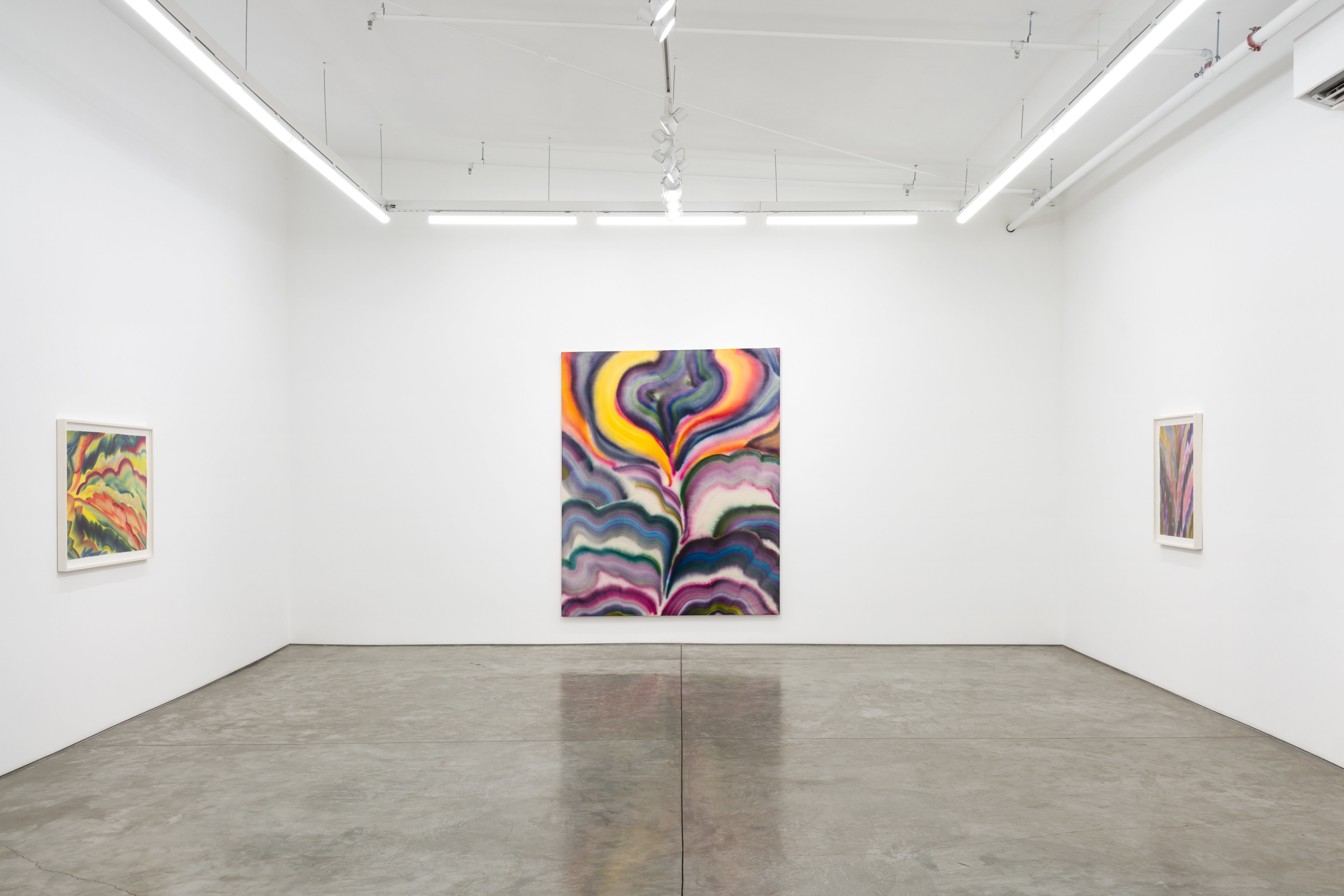 Installation view of Sarah Blaustein’s “Overture” at Night Gallery