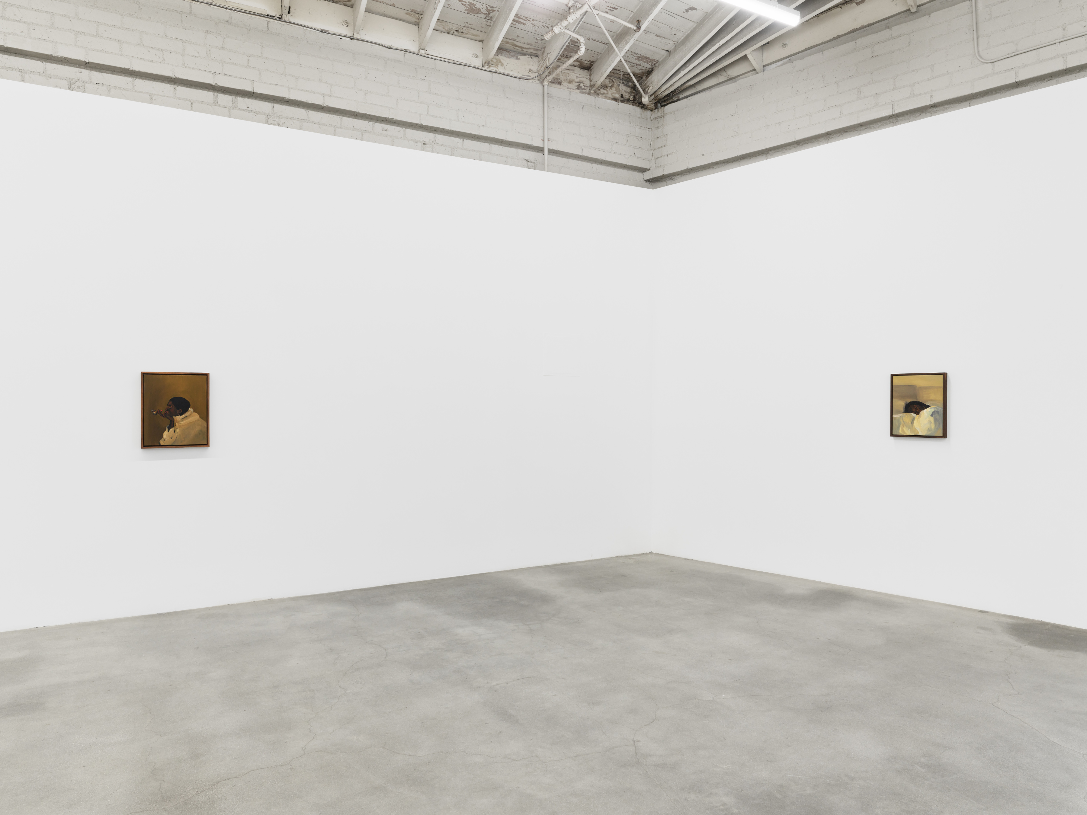 Danielle Mckinney, Metamorphic, installation view, 2023