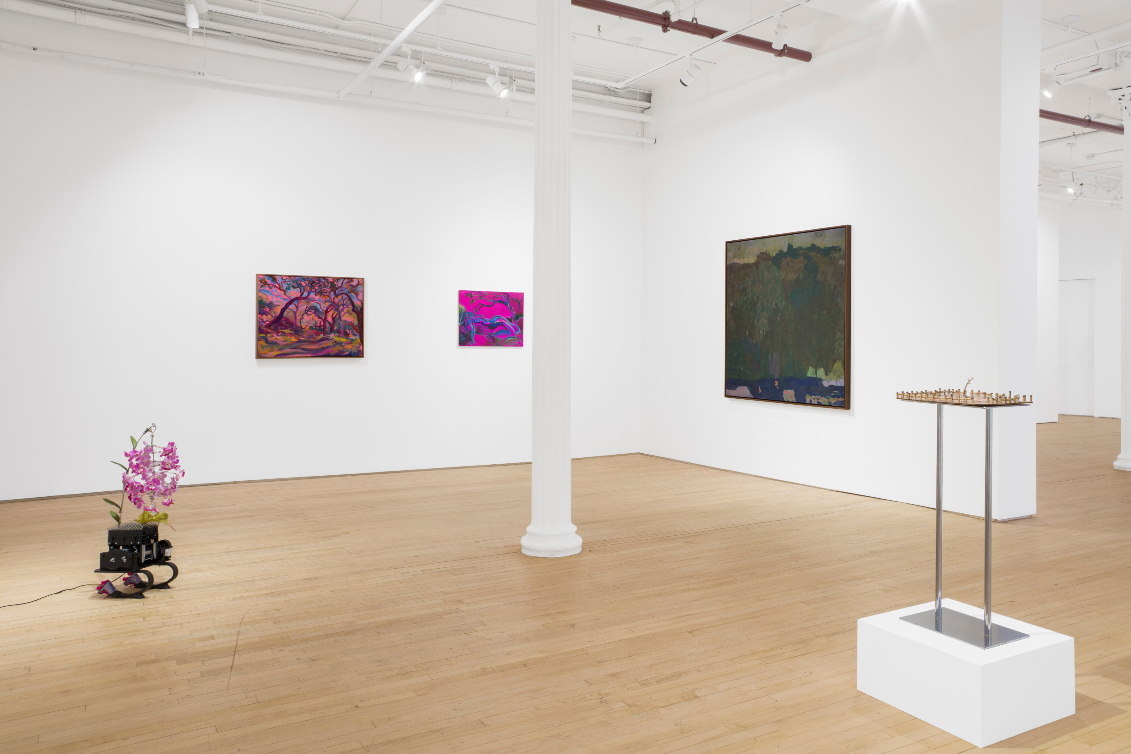 Installation view of "Superbloom"