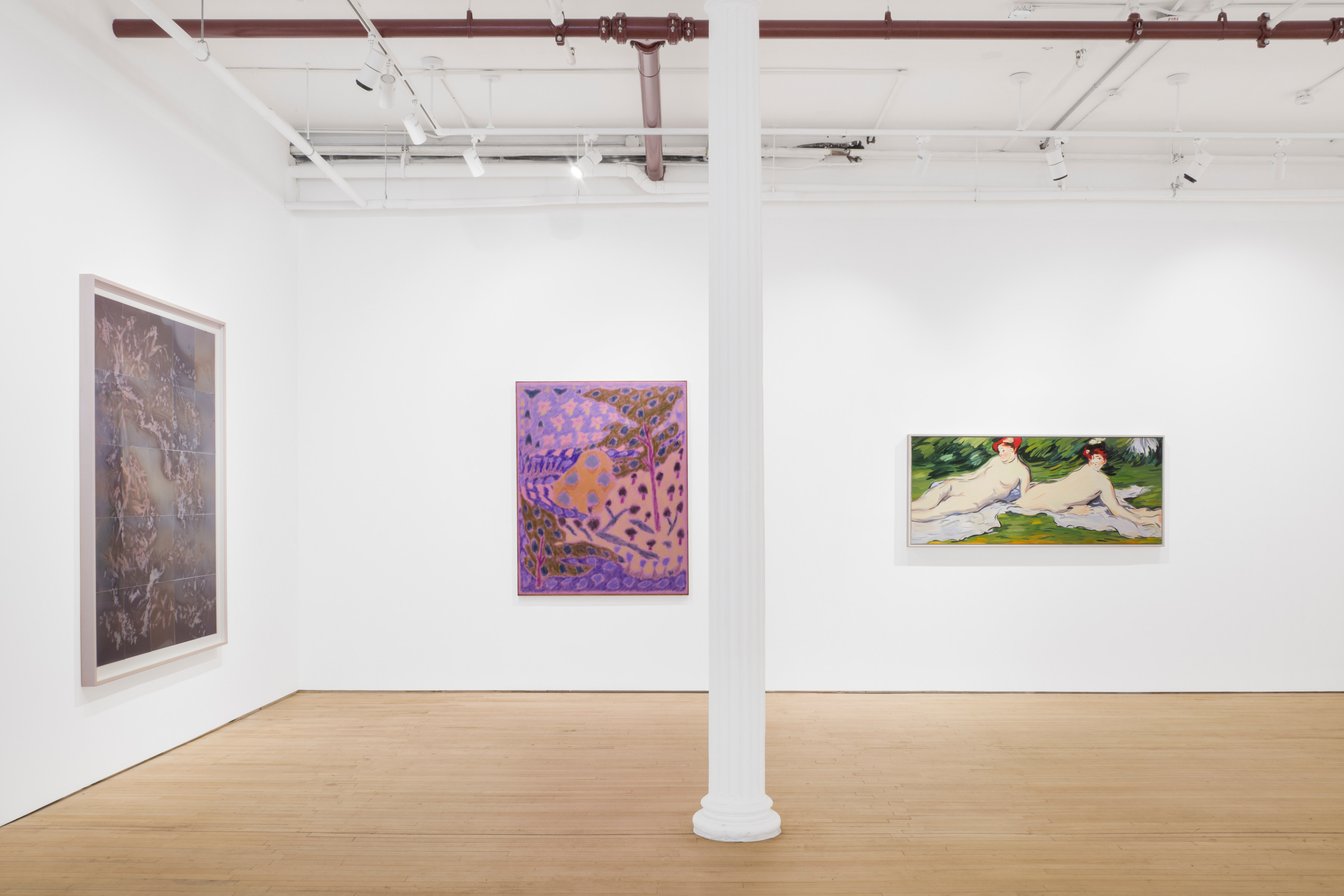 Installation view of "Superbloom"