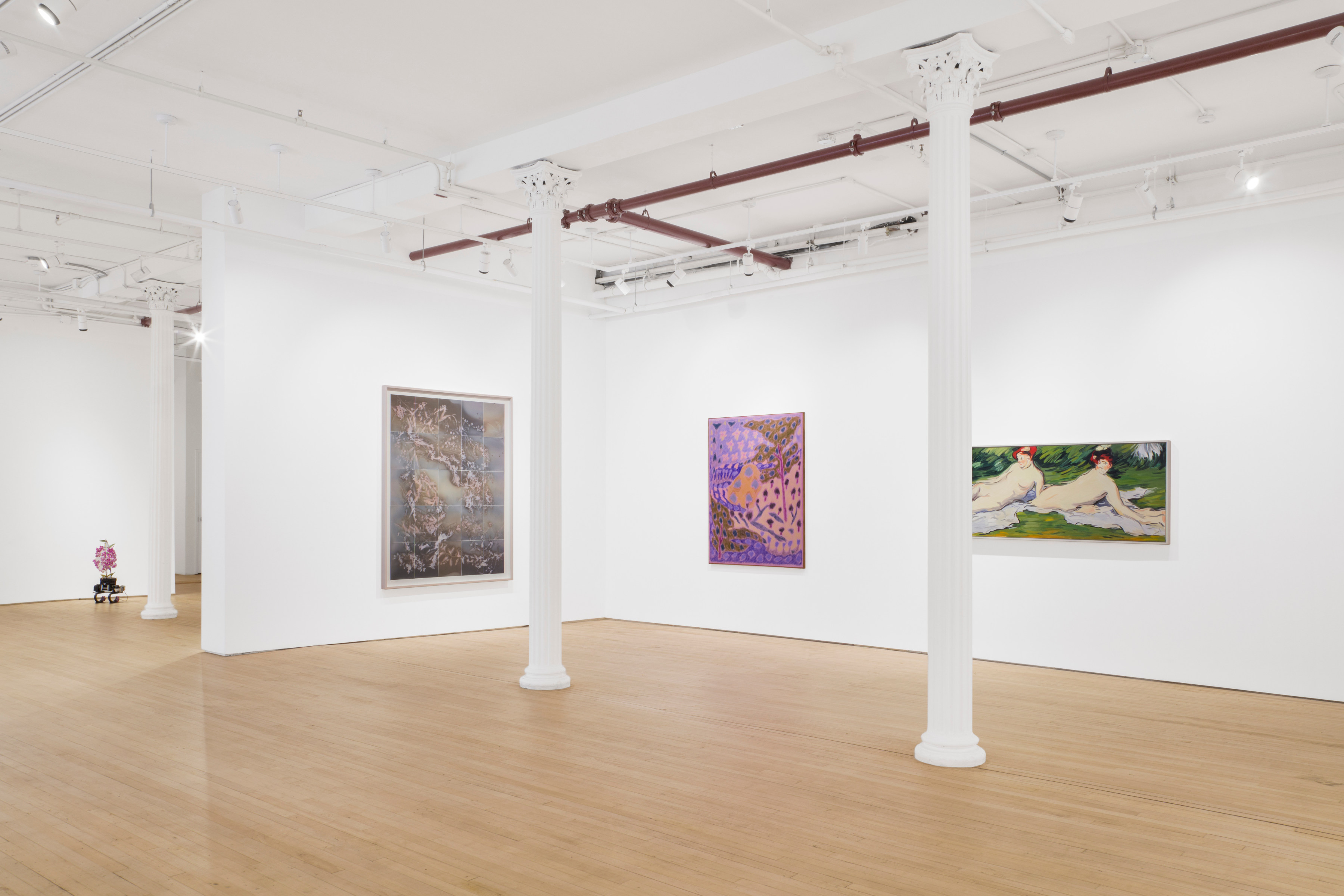 Installation view of "Superbloom"