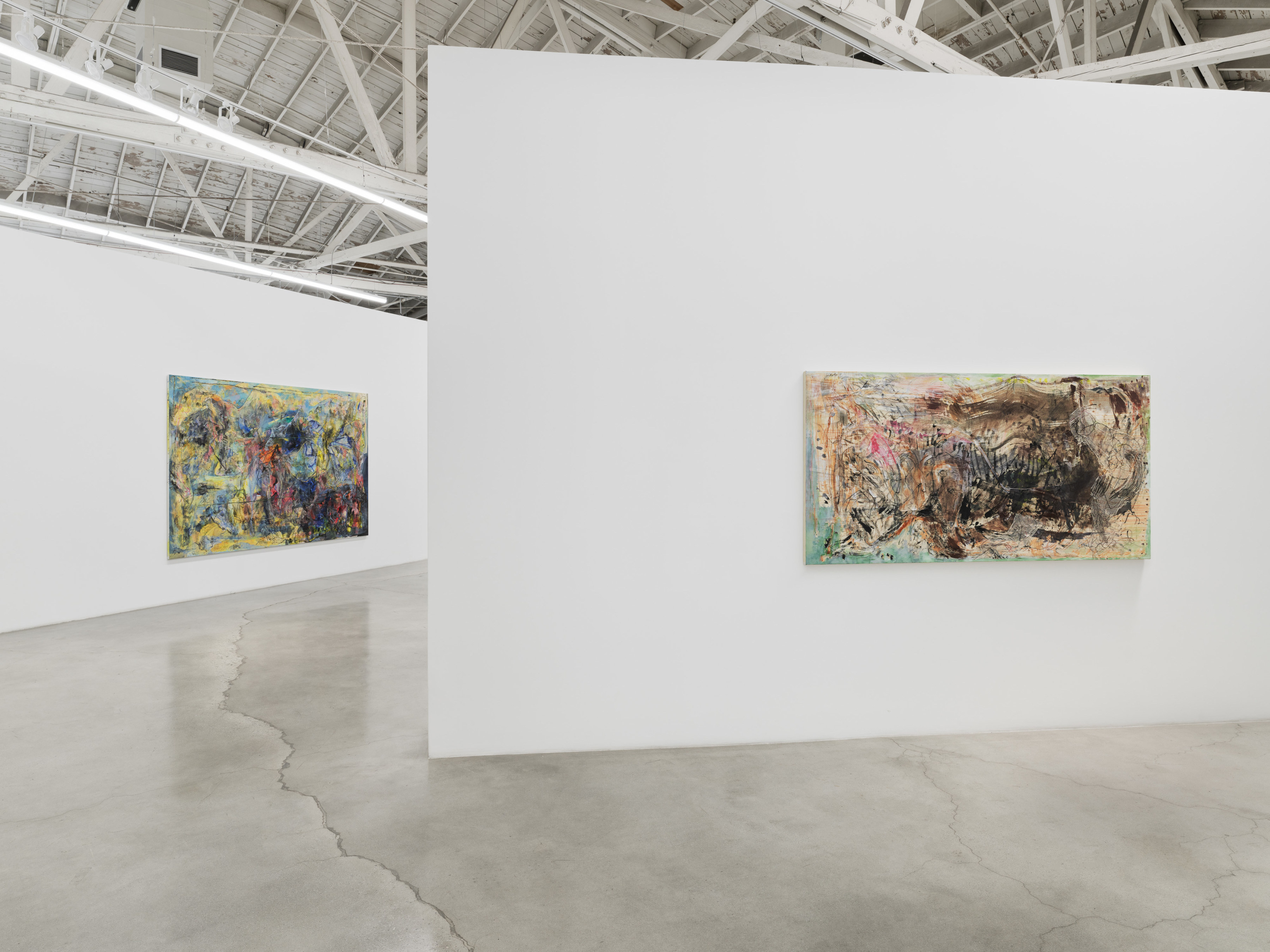 Installation view of Iva Gueorguieva's "Seascapes, Snowscapes, Kukeri", 2024