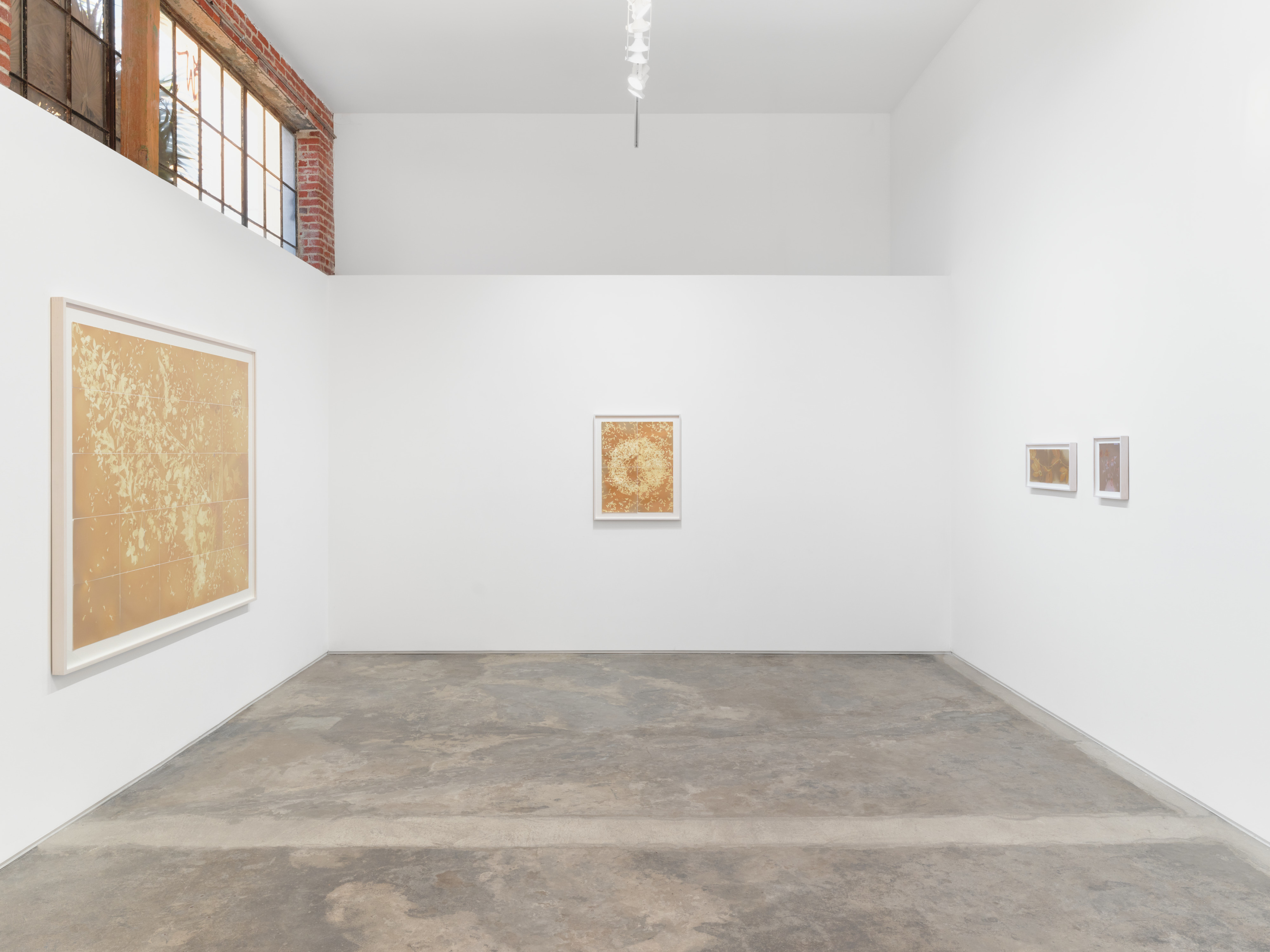 Installation view of Lily Kwong’s Solis