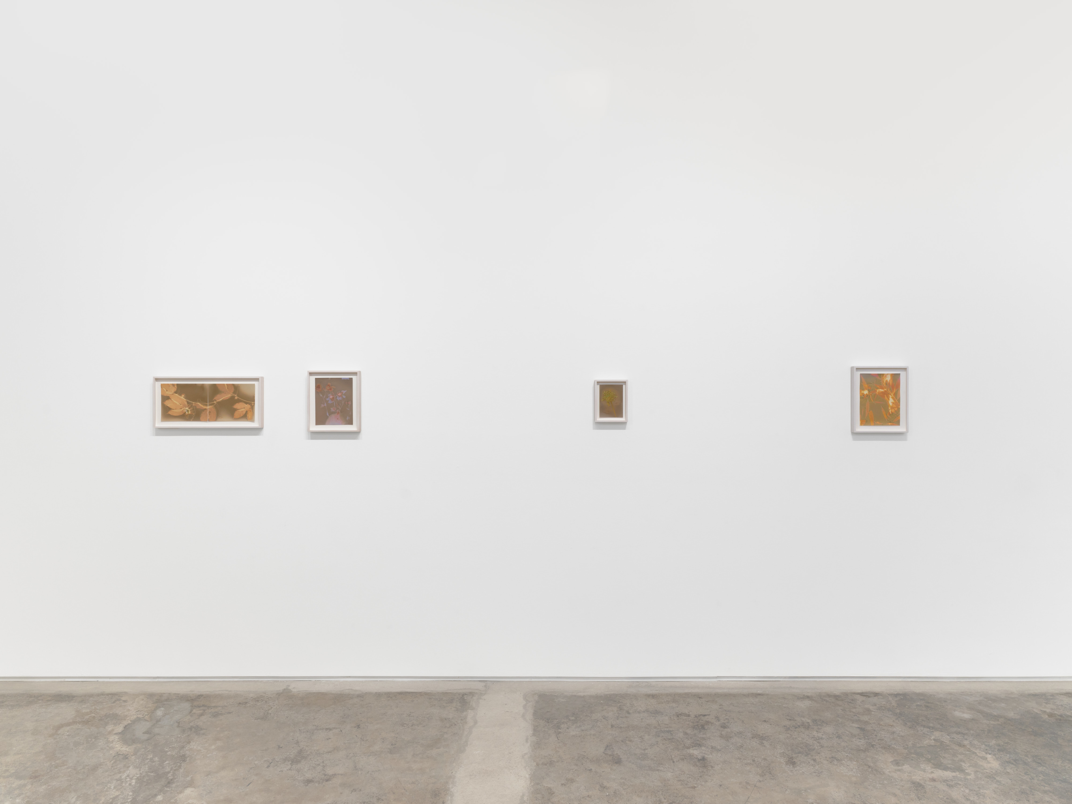 Installation view of Lily Kwong’s Solis