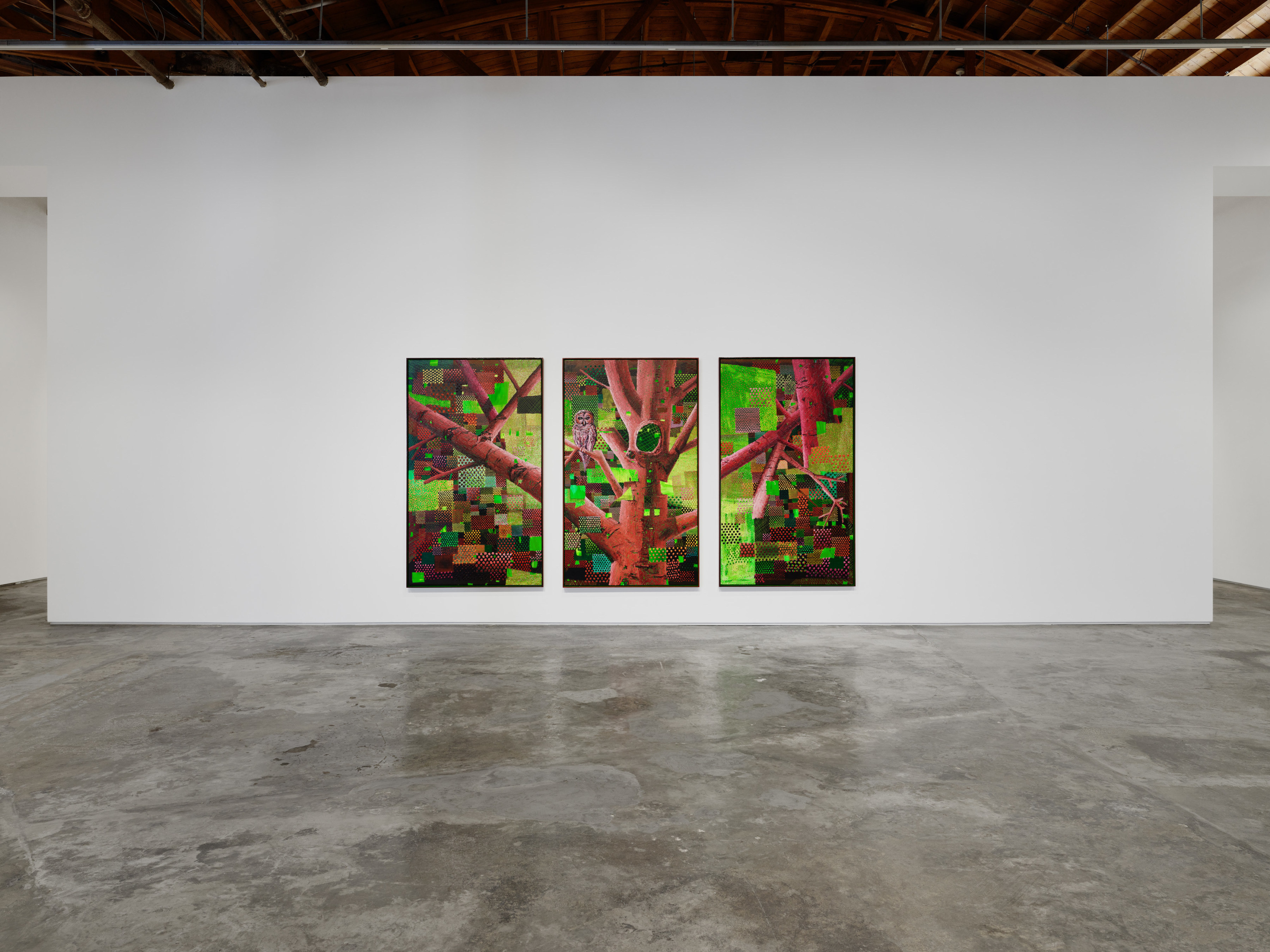 Installation view of "Peace Fellow"