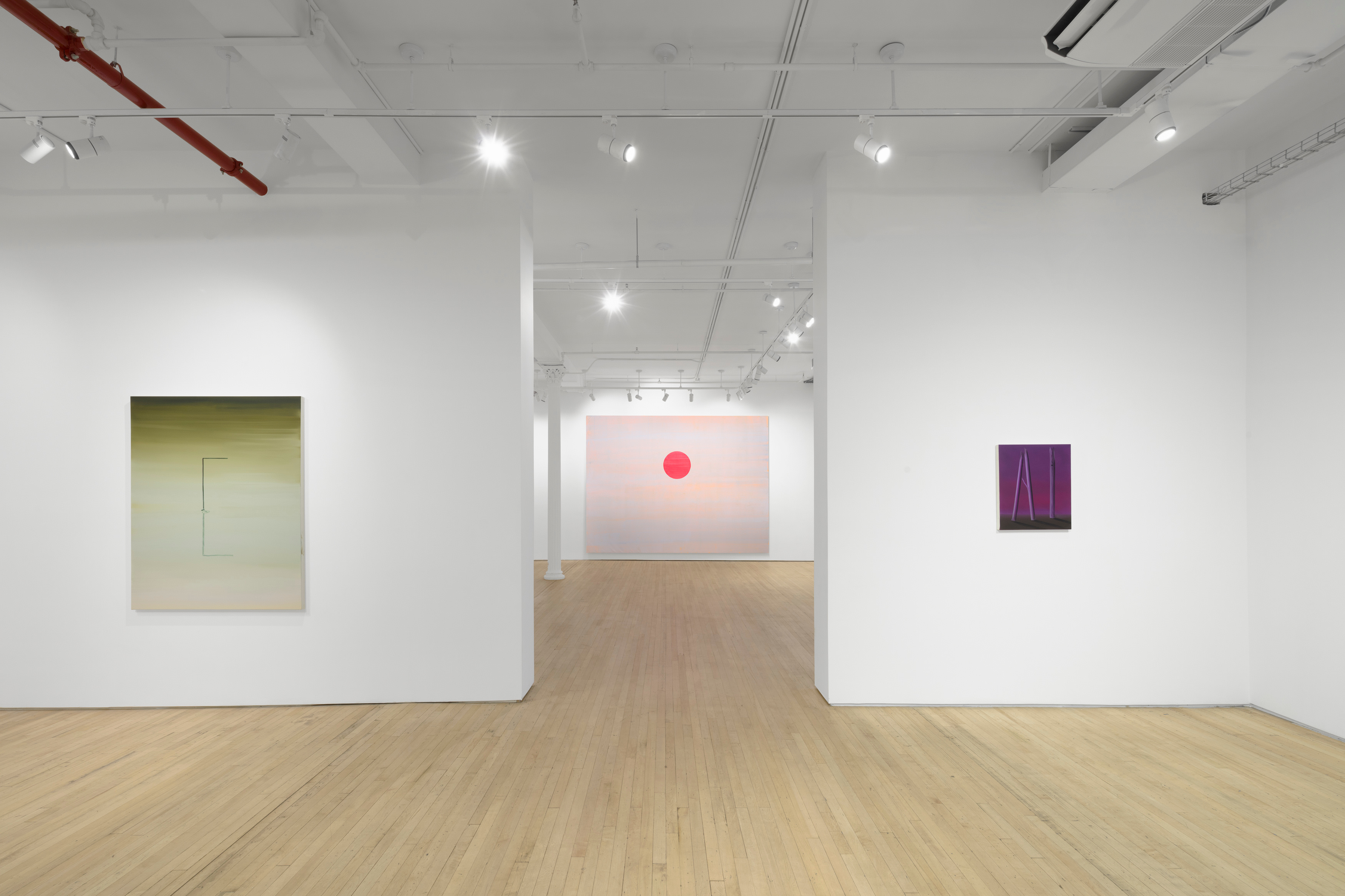 Installation view of "Magnetic Field"