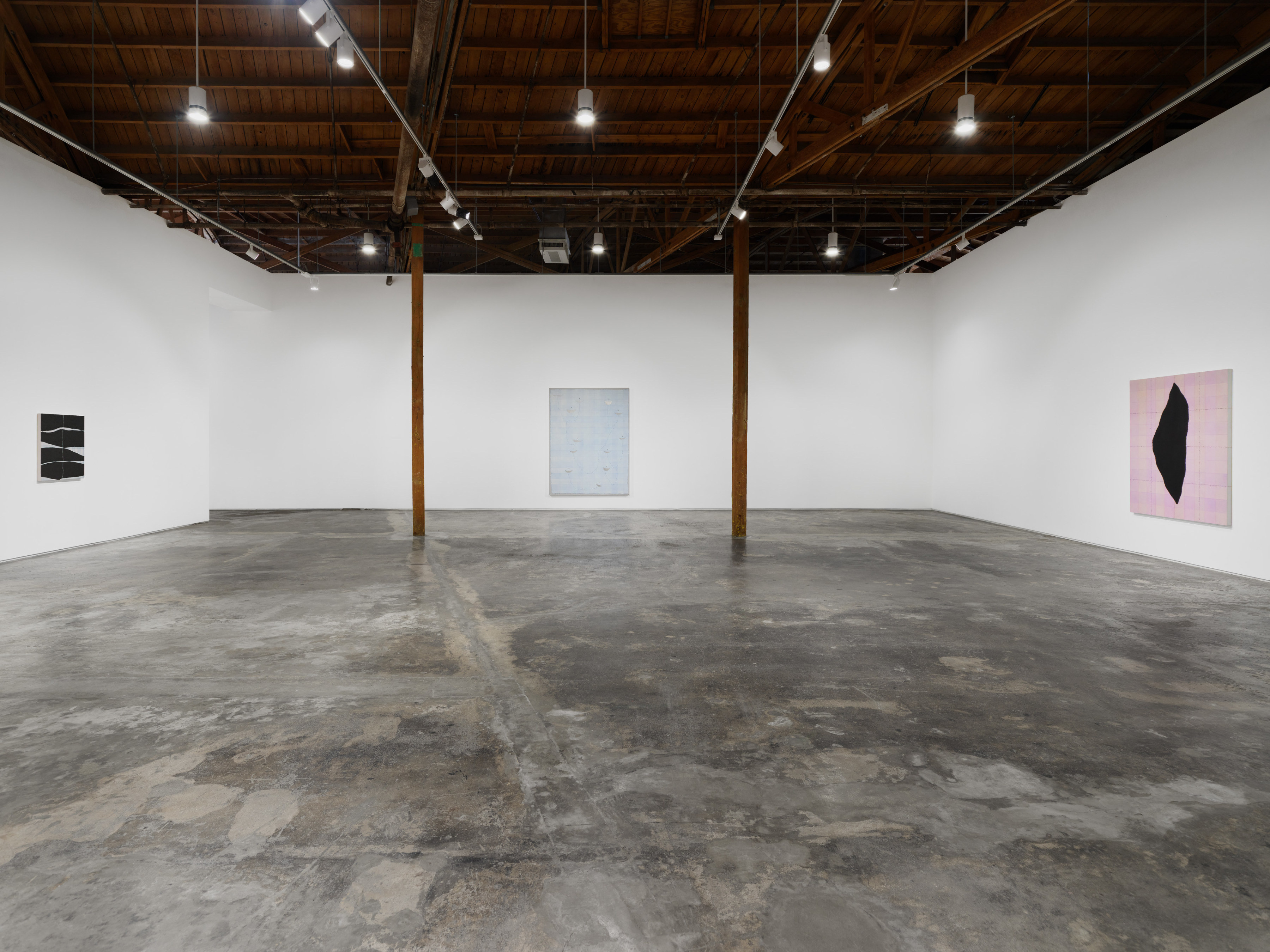 Installation view of "Shoot Forth Thunder"