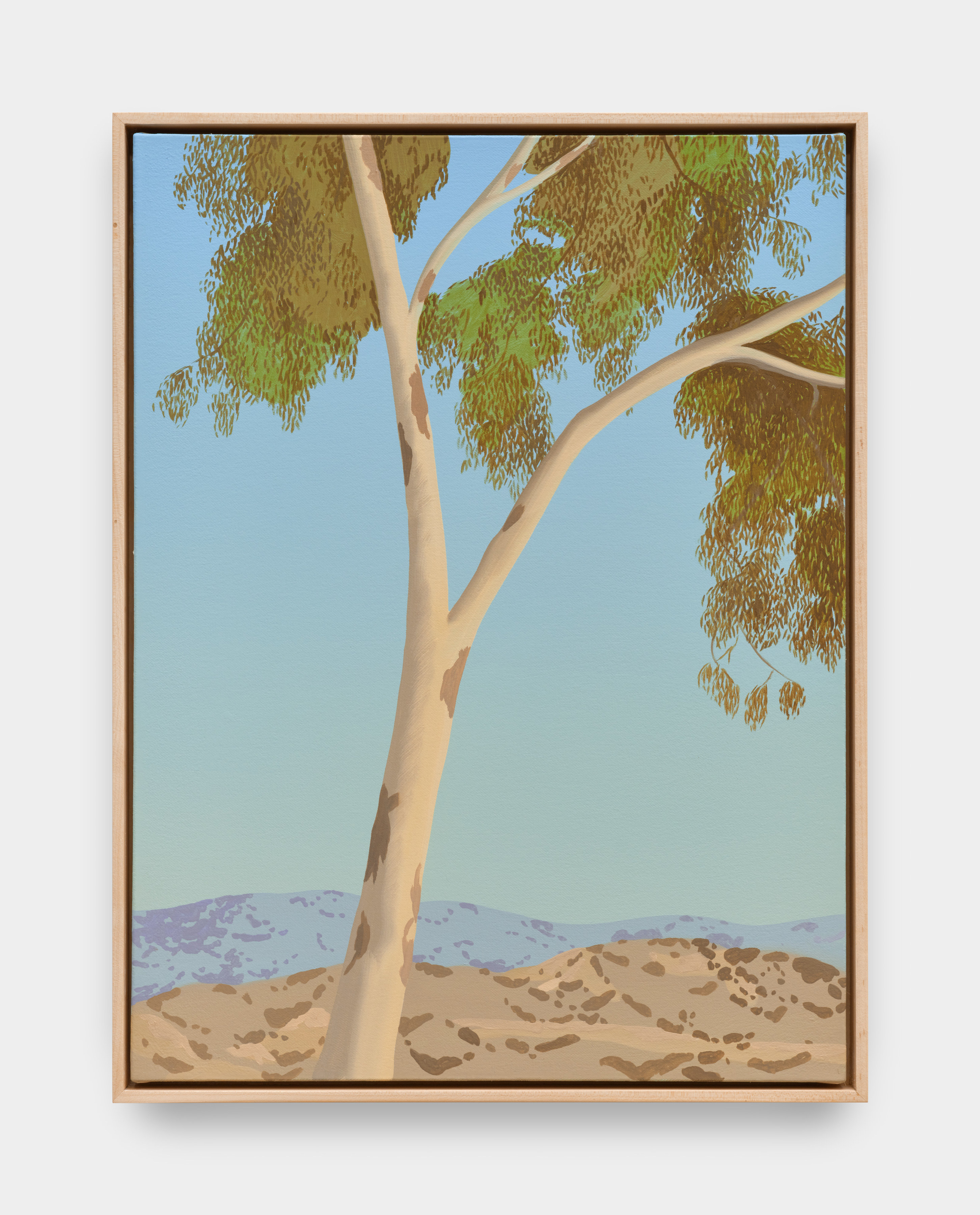 A painting of a eucalyptus tree with desert hills and a pale blue sky in the background.