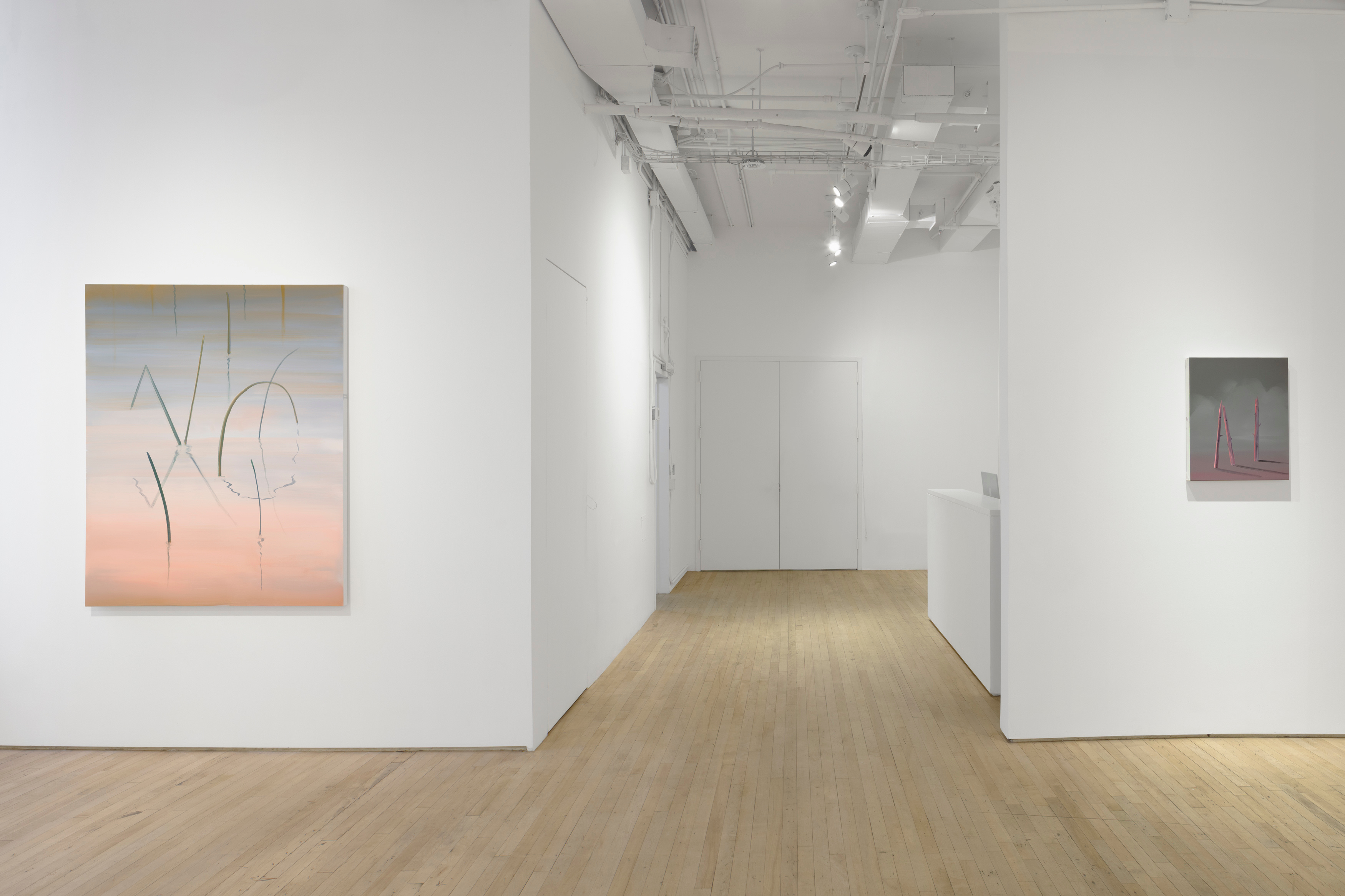 Installation view of "Magnetic Field"