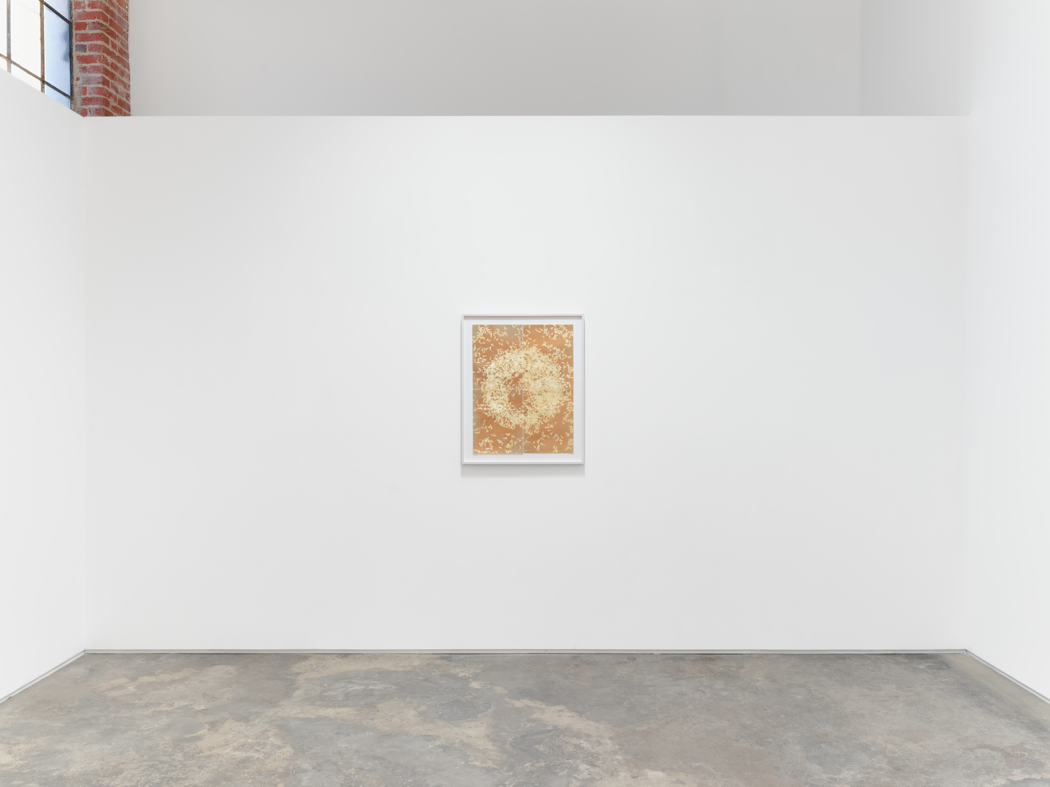 Installation view of Lily Kwong’s Solis