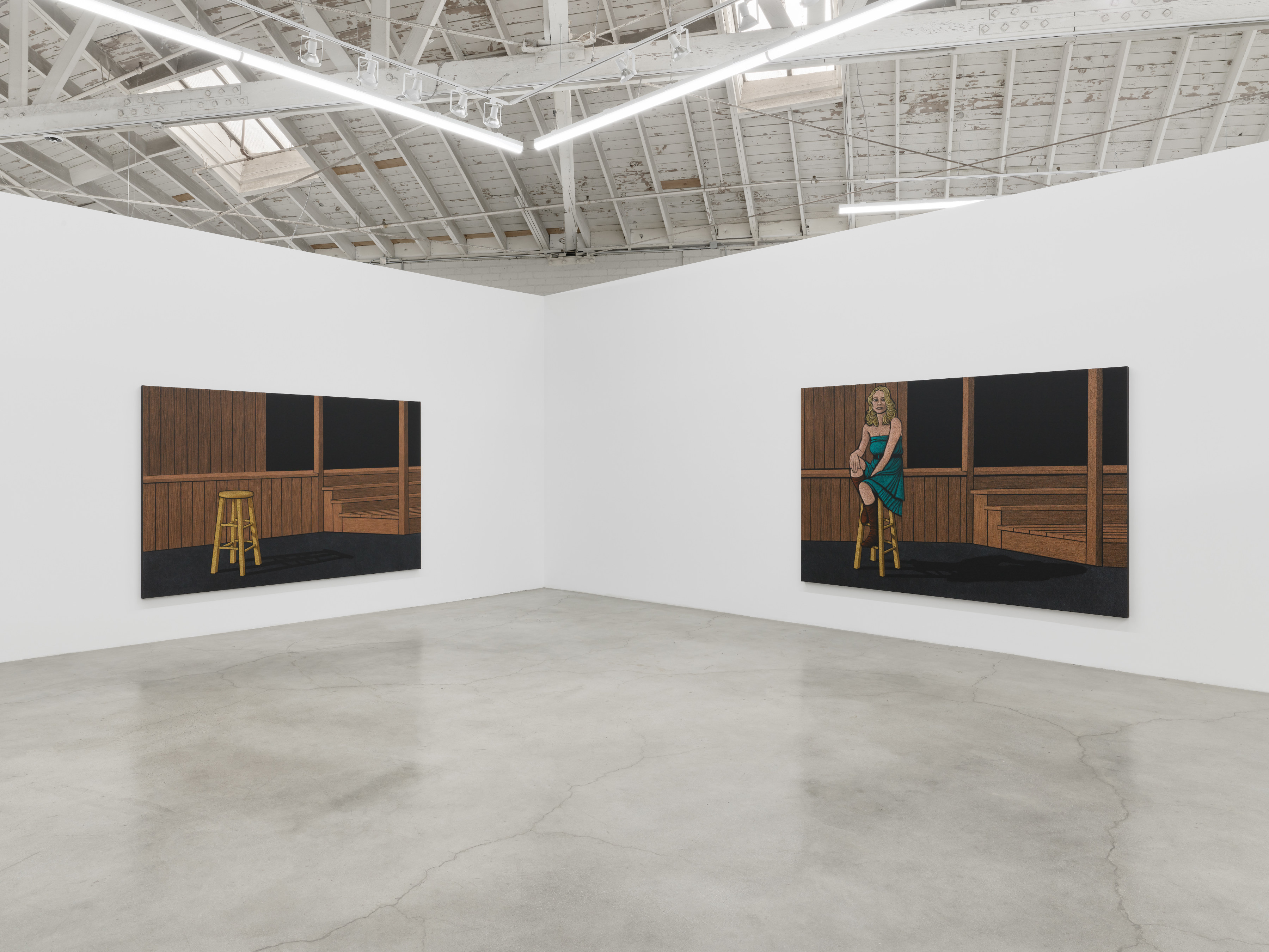 Installation view of Amy Adler's "Audition" at Night Gallery. 