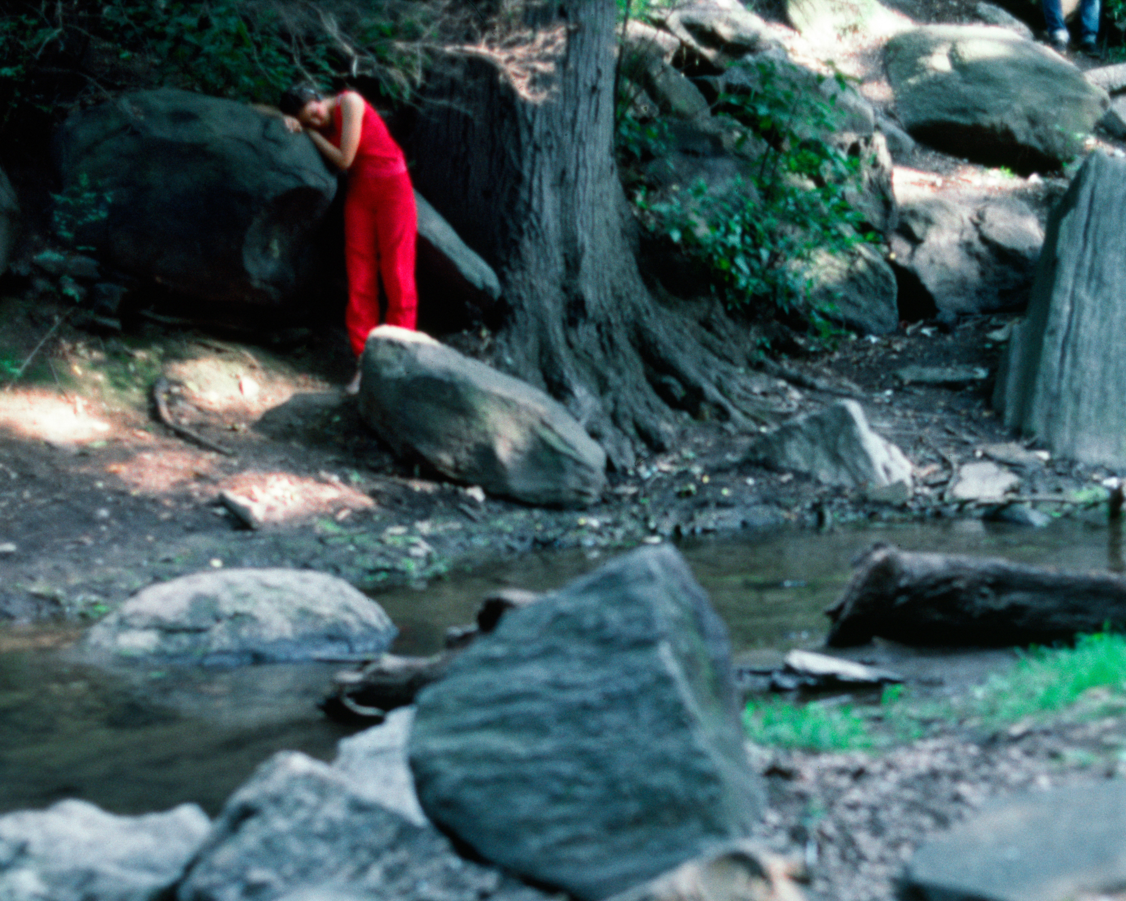 Rivers, First Draft: The Teenager in Magenta stands depressed on the bank of the stream, 1982/2015, Digital C-print from Kodachrome 35mm slides in 48 parts, 16h x 20w in (40.64h x 50.80w cm)
