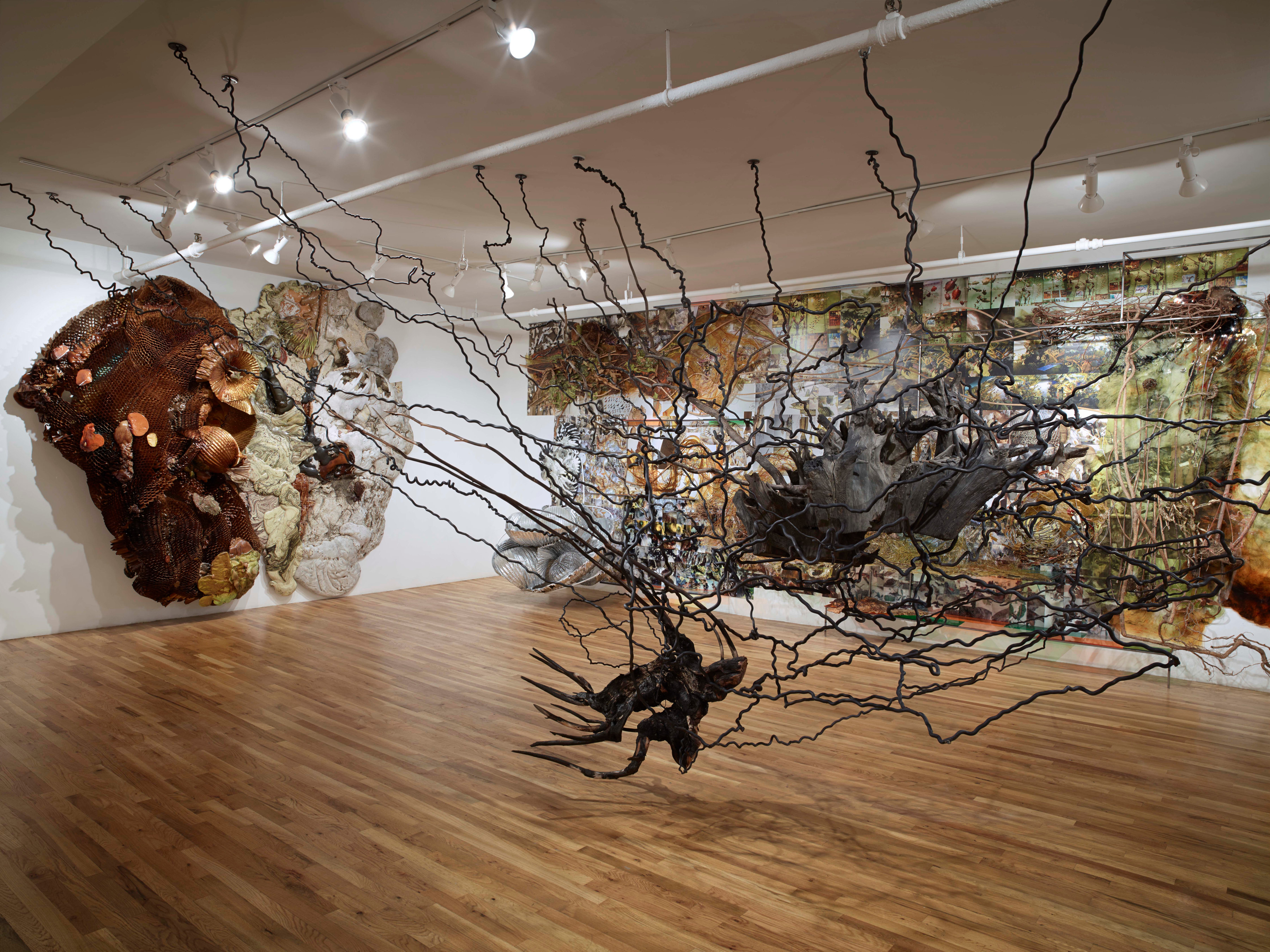 Second Nature, 2014, Installation at Pavel Zoubok Gallery, New York, NY