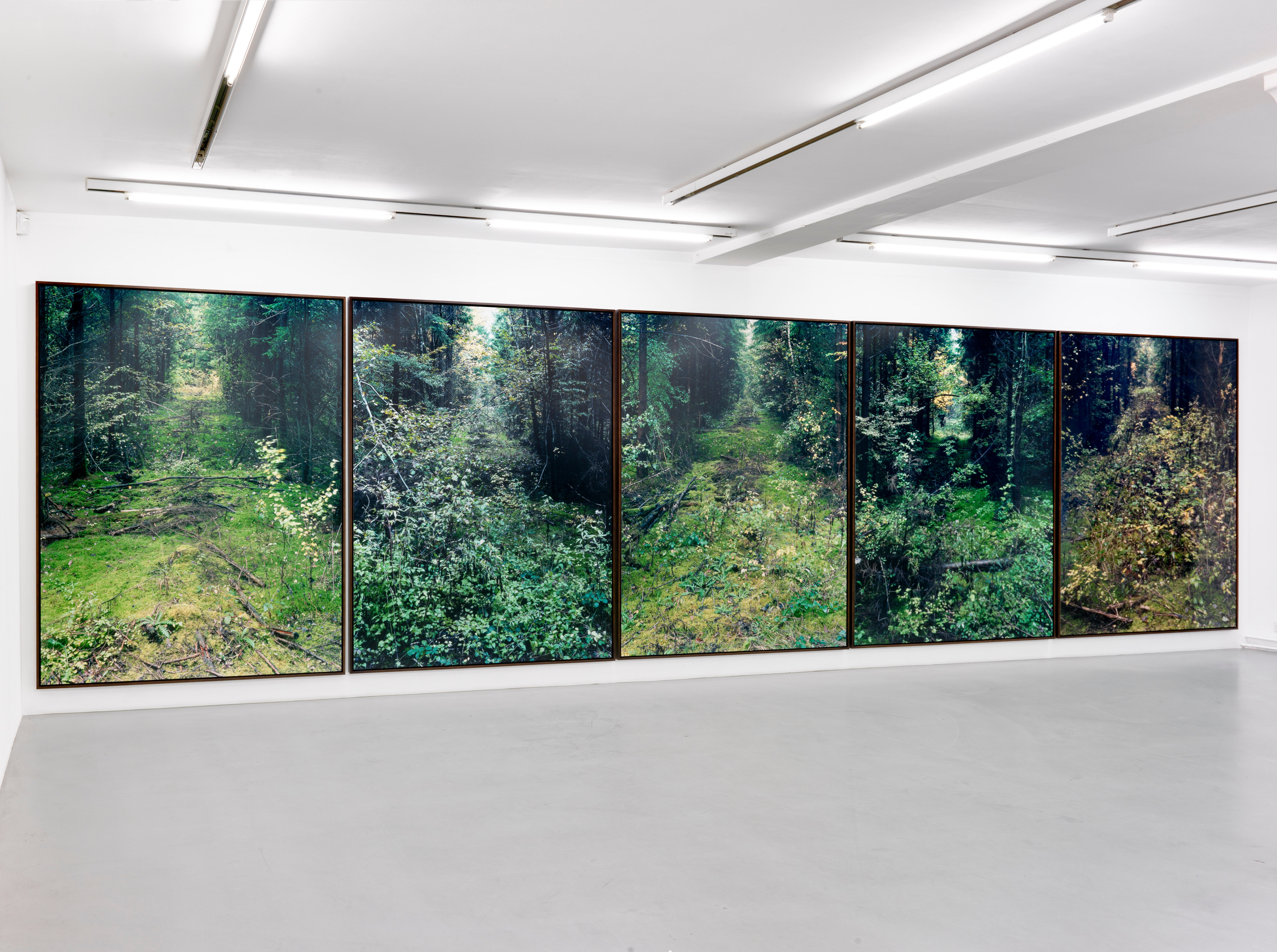 Eric Poitevin &ndash; installation view 9