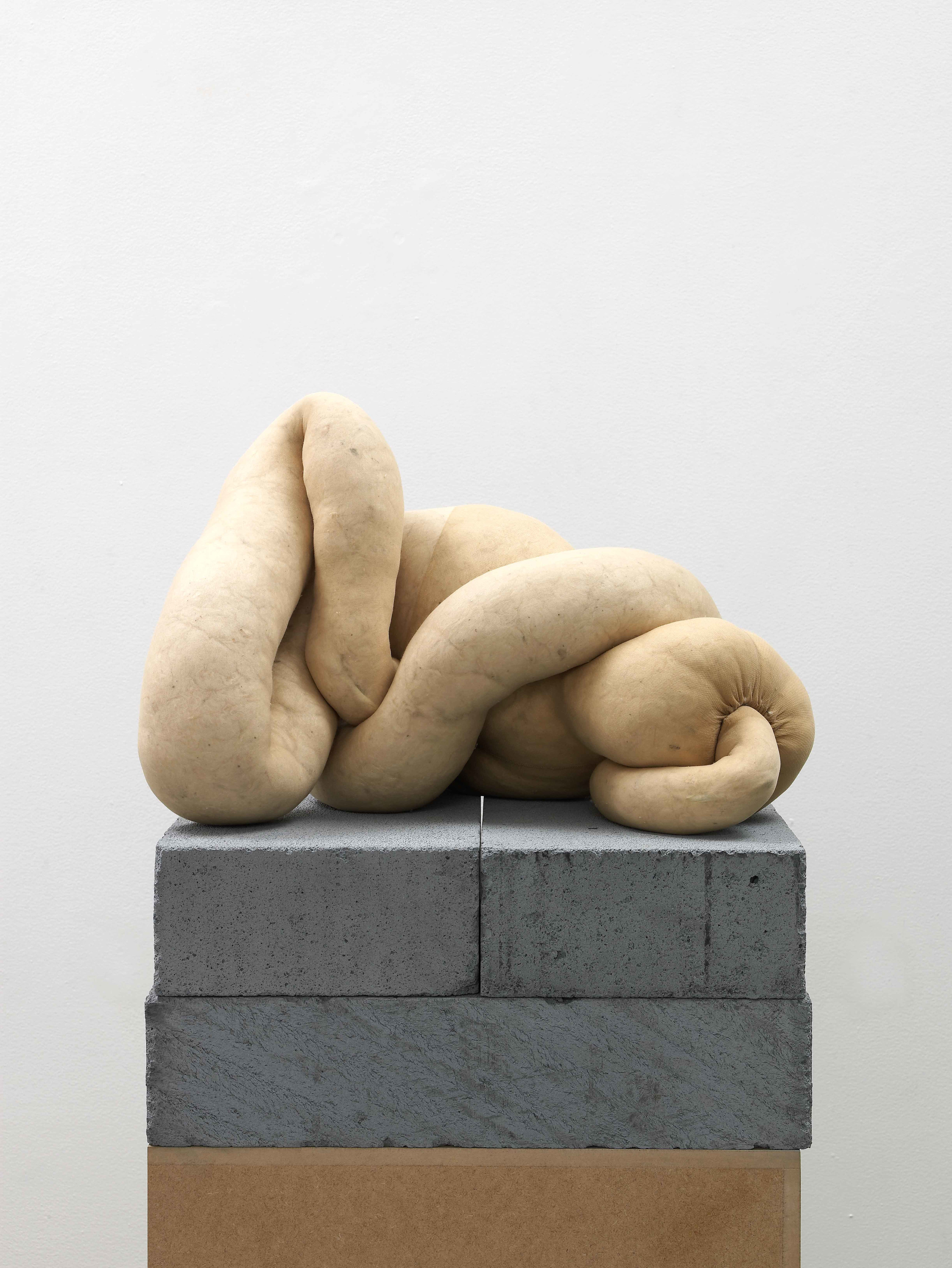 Sarah Lucas, “NUD 16”, 2009