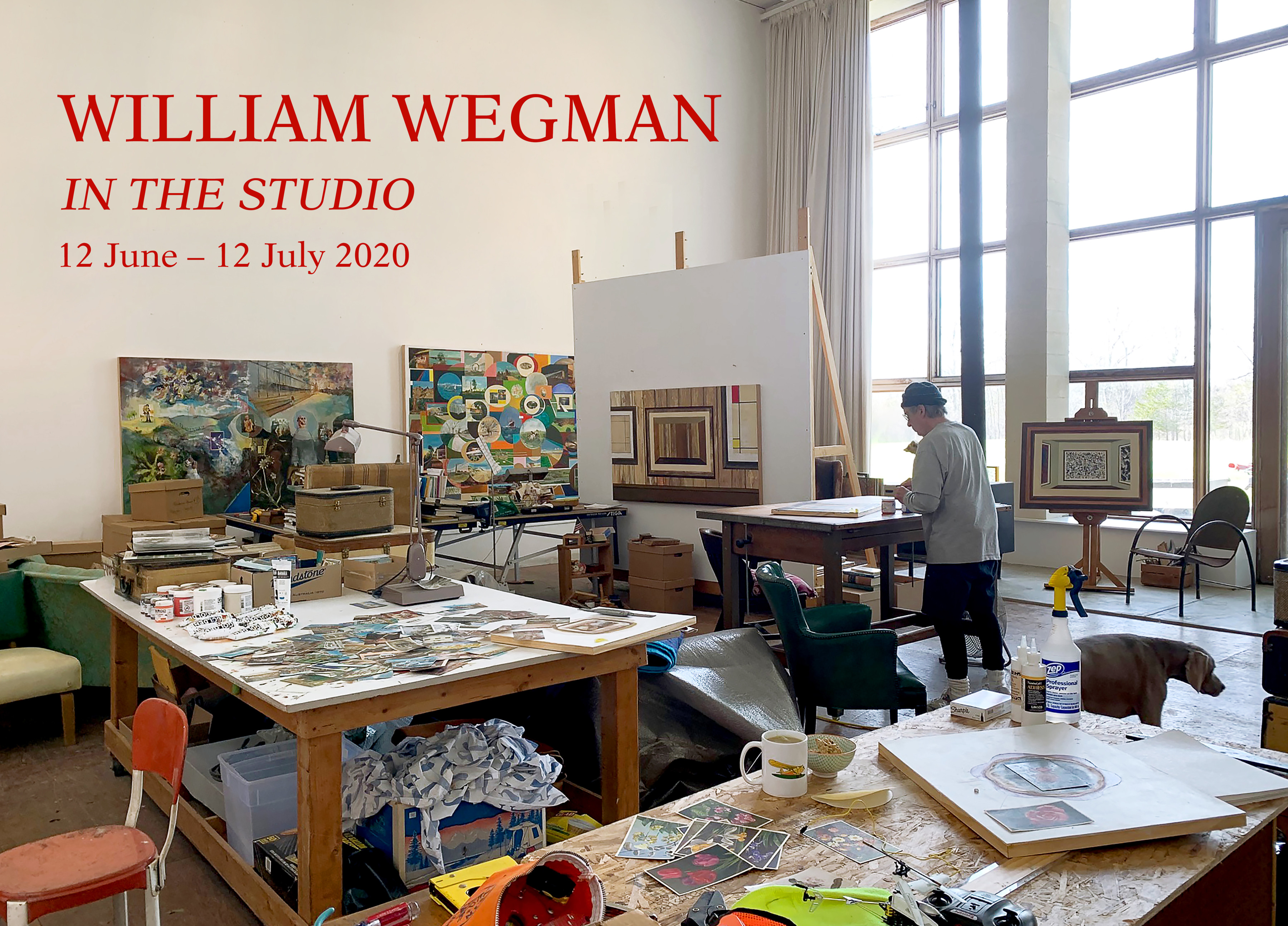 William Wegman - In The Studio - Viewing Room - Sperone Westwater Viewing Room