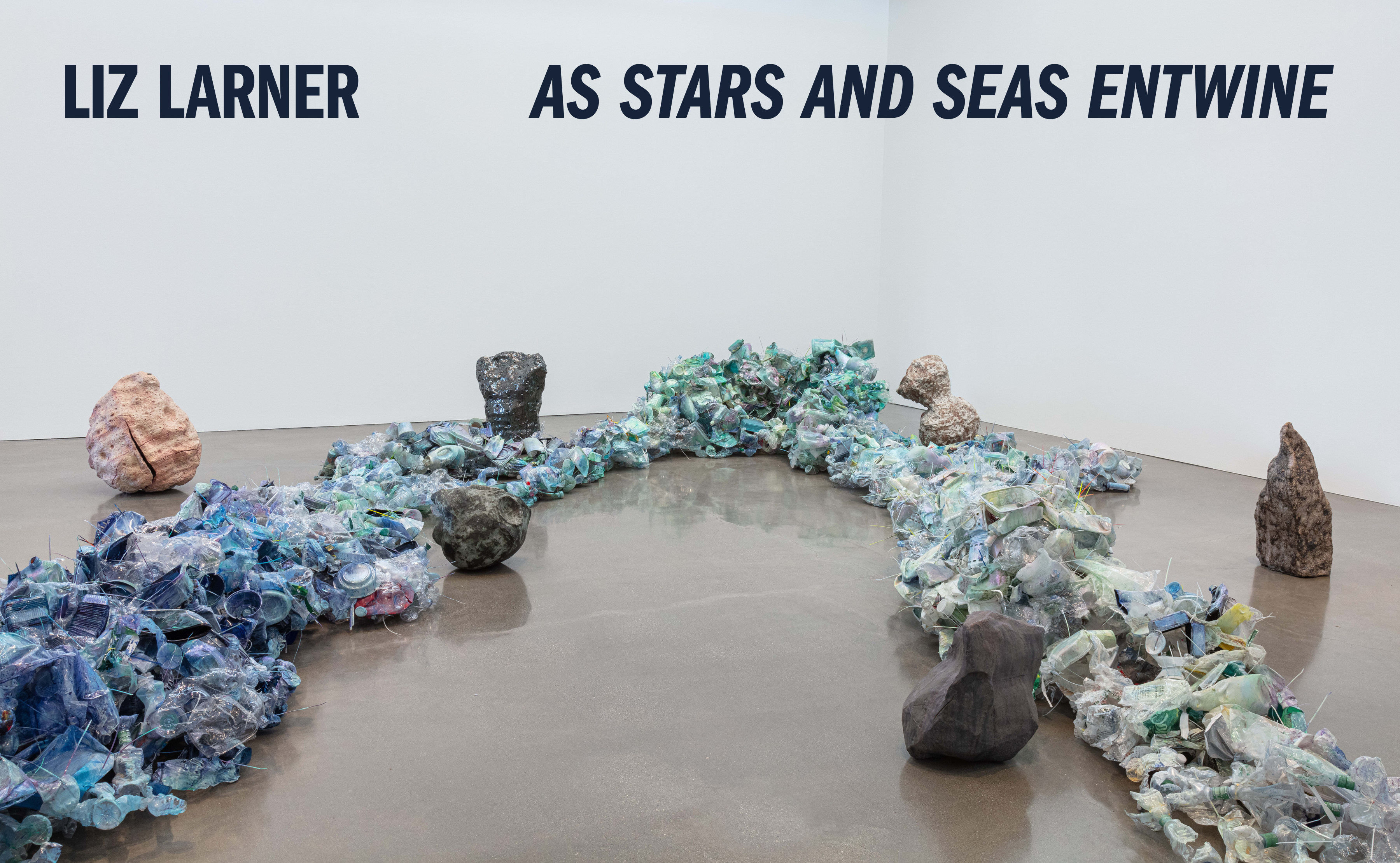 Liz Larner - As Stars and Seas Entwine - Viewing Room - Regen Projects Viewing Room