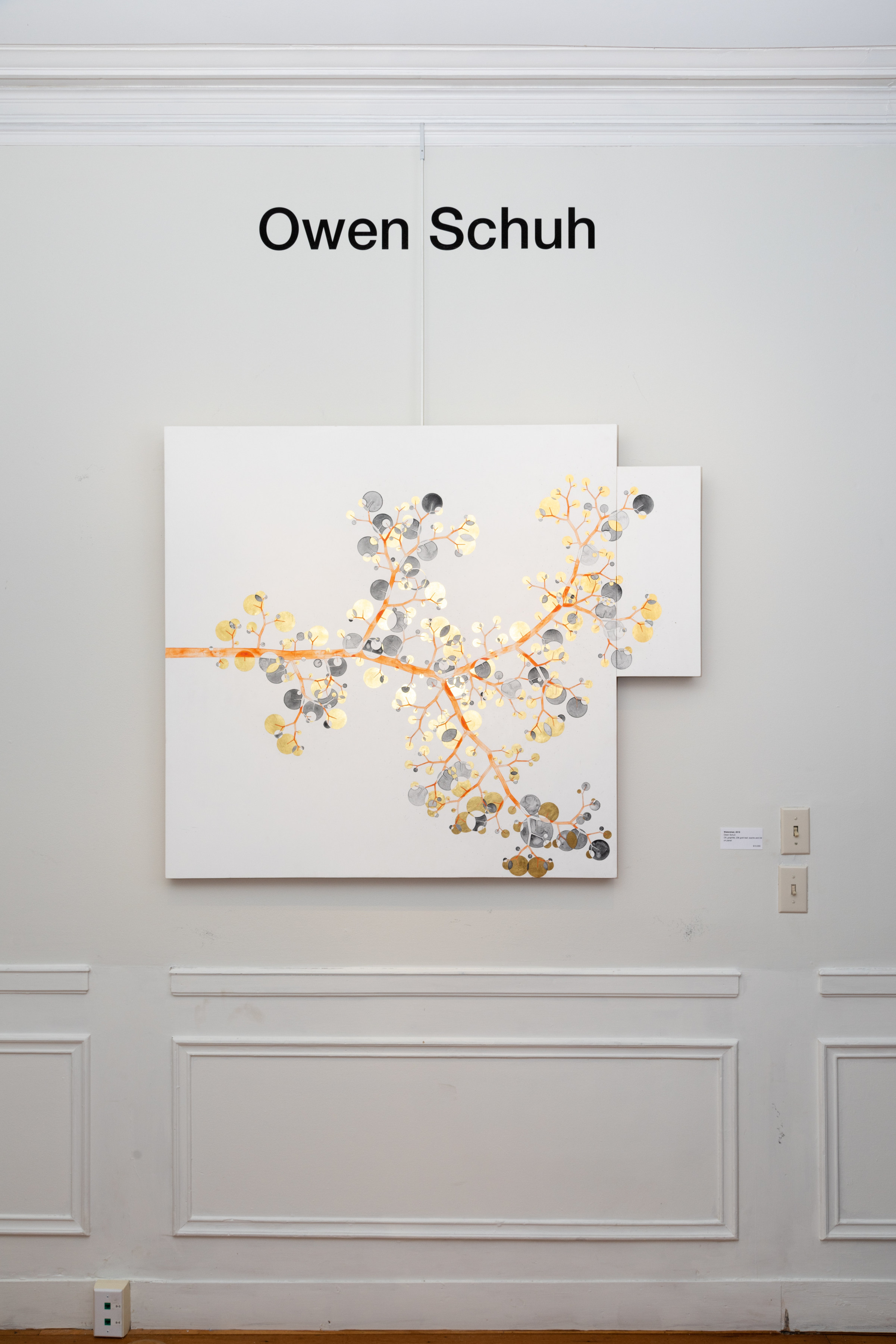 Owen Schuh: Branchings & Configurations - Southern Vermont Arts Center - Viewing Room - Silas Von Morisse Viewing Room