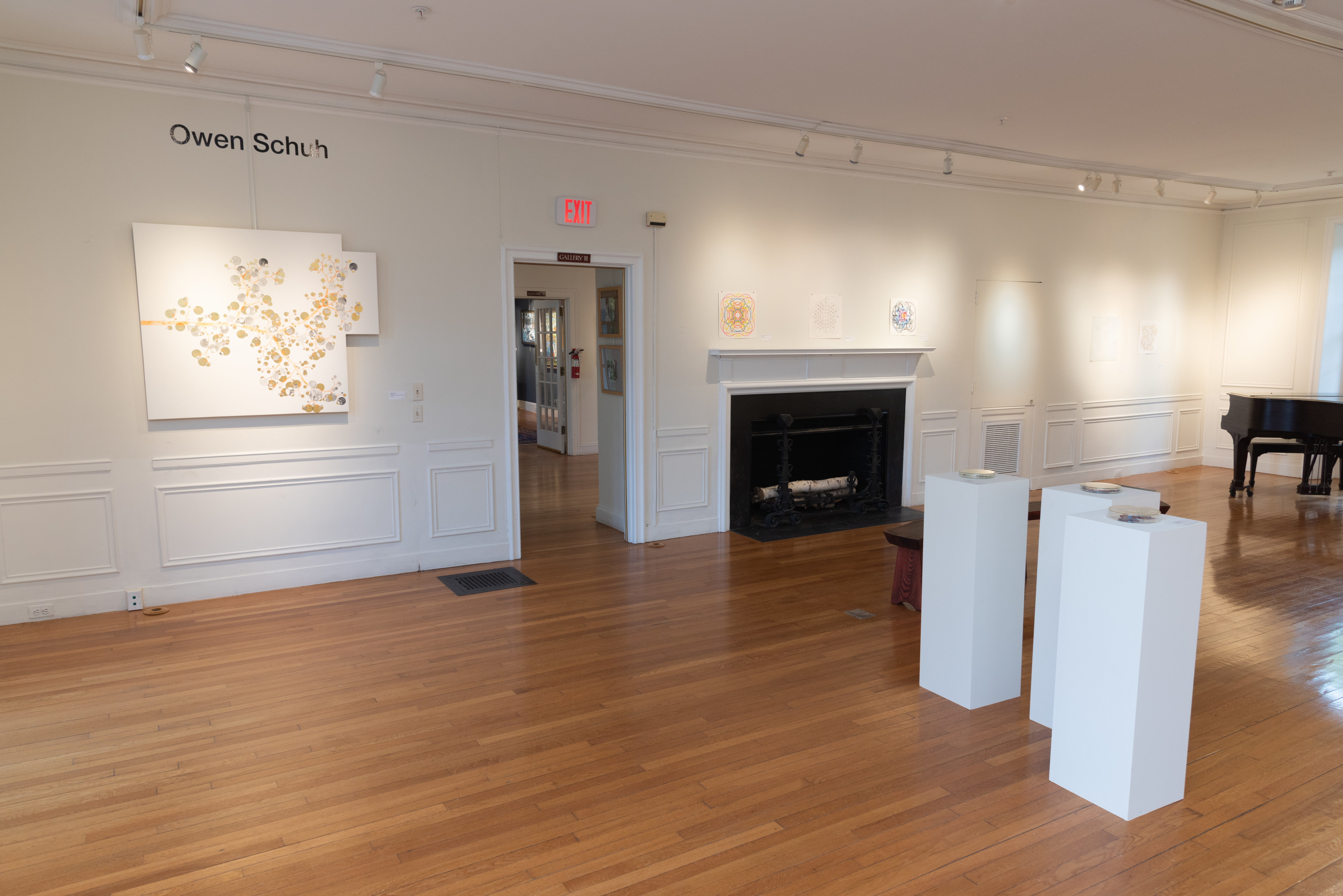 Owen Schuh: Branchings & Configurations - Southern Vermont Arts Center - Viewing Room - Silas Von Morisse Viewing Room