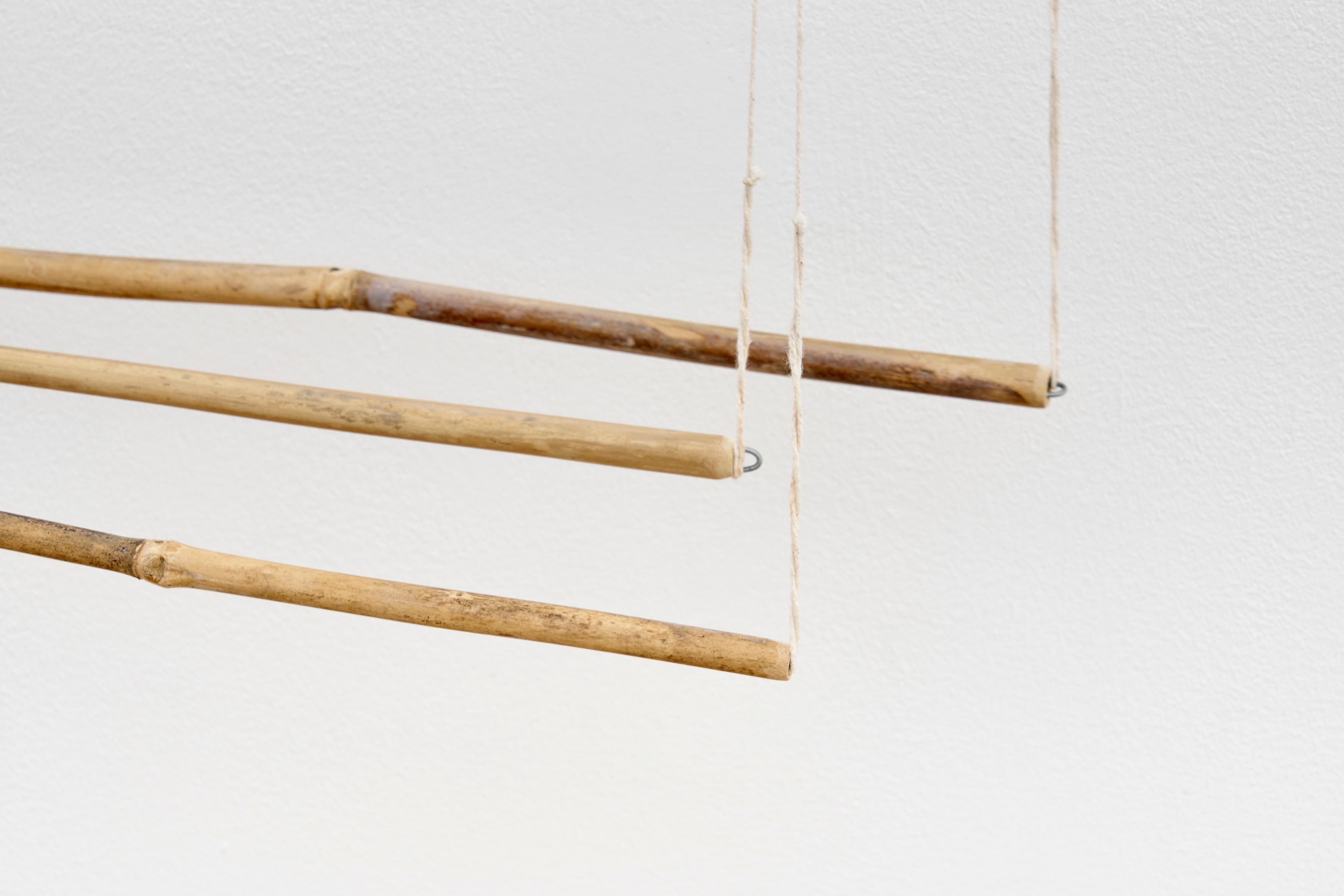 Lifelines | Group Presentation -  - Viewing Room - Goodman Gallery
