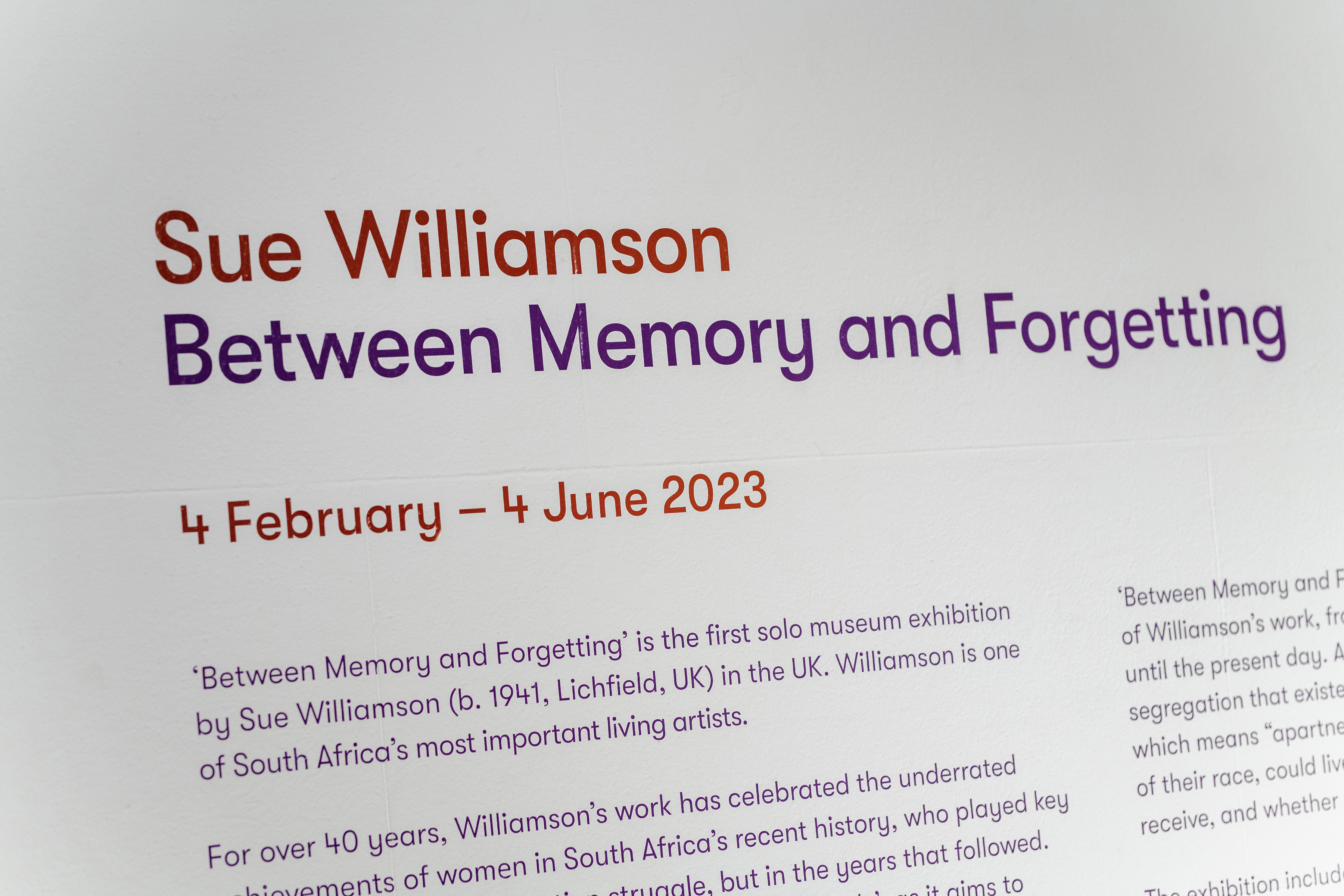 Sue Williamson Dossier 2024 -  - Viewing Room - Goodman Gallery