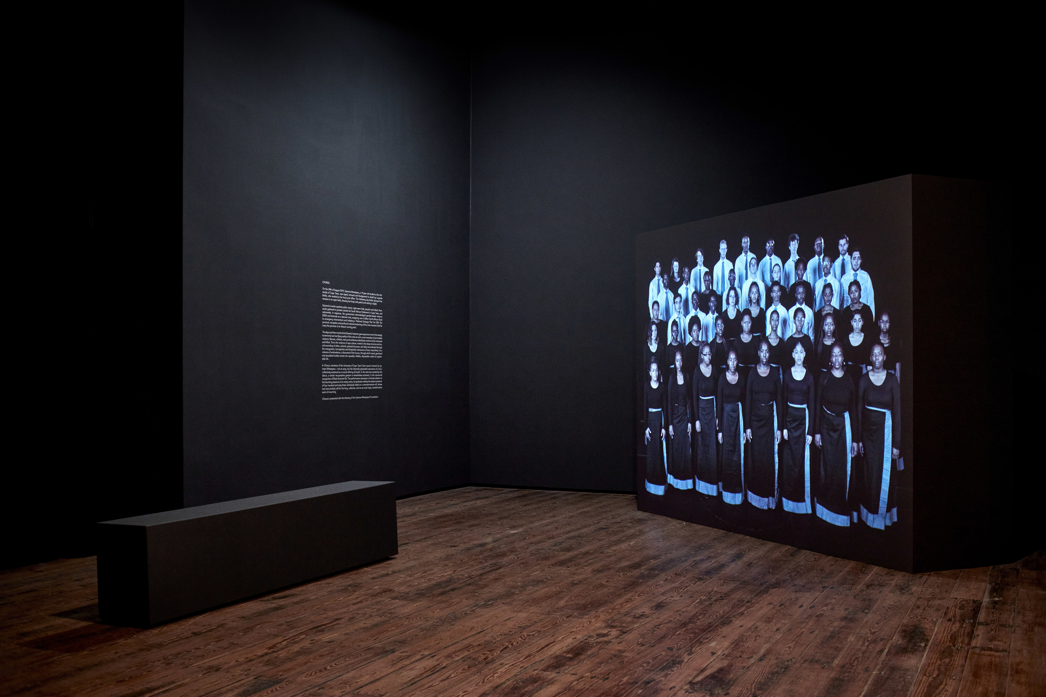 Gabrielle Goliath Dossier 2024 -  - Viewing Room - Goodman Gallery