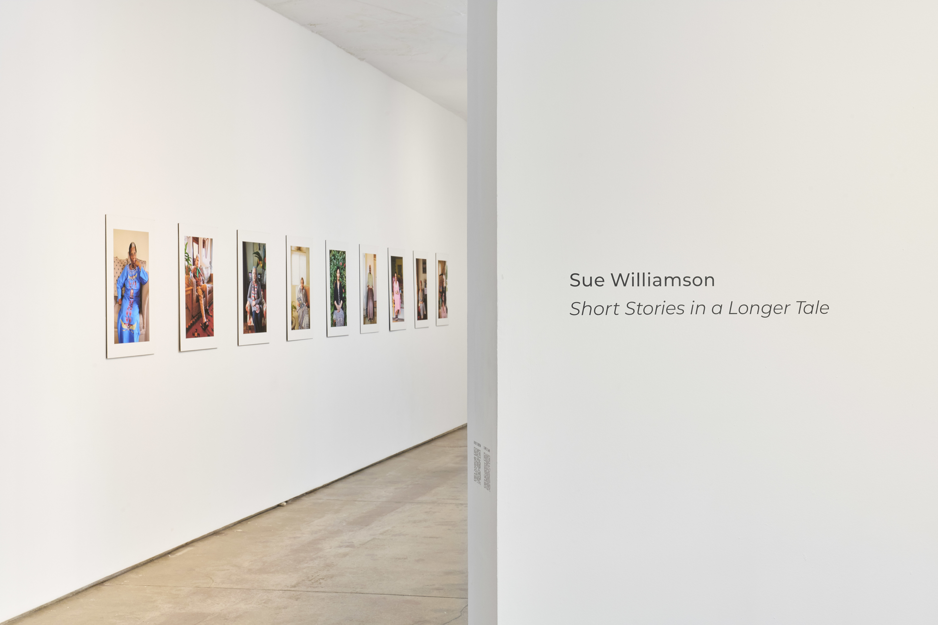 Sue Williamson Dossier 2024 -  - Viewing Room - Goodman Gallery