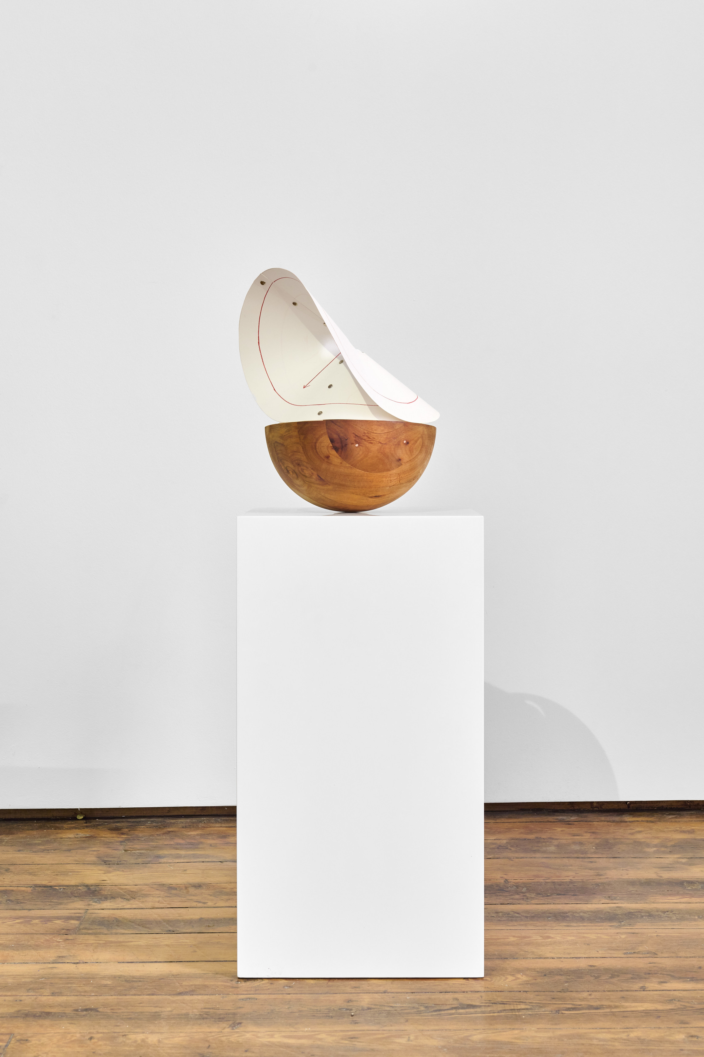 Mateo Lopez | Disclose - Goodman Gallery Cape Town - Viewing Room - Goodman Gallery
