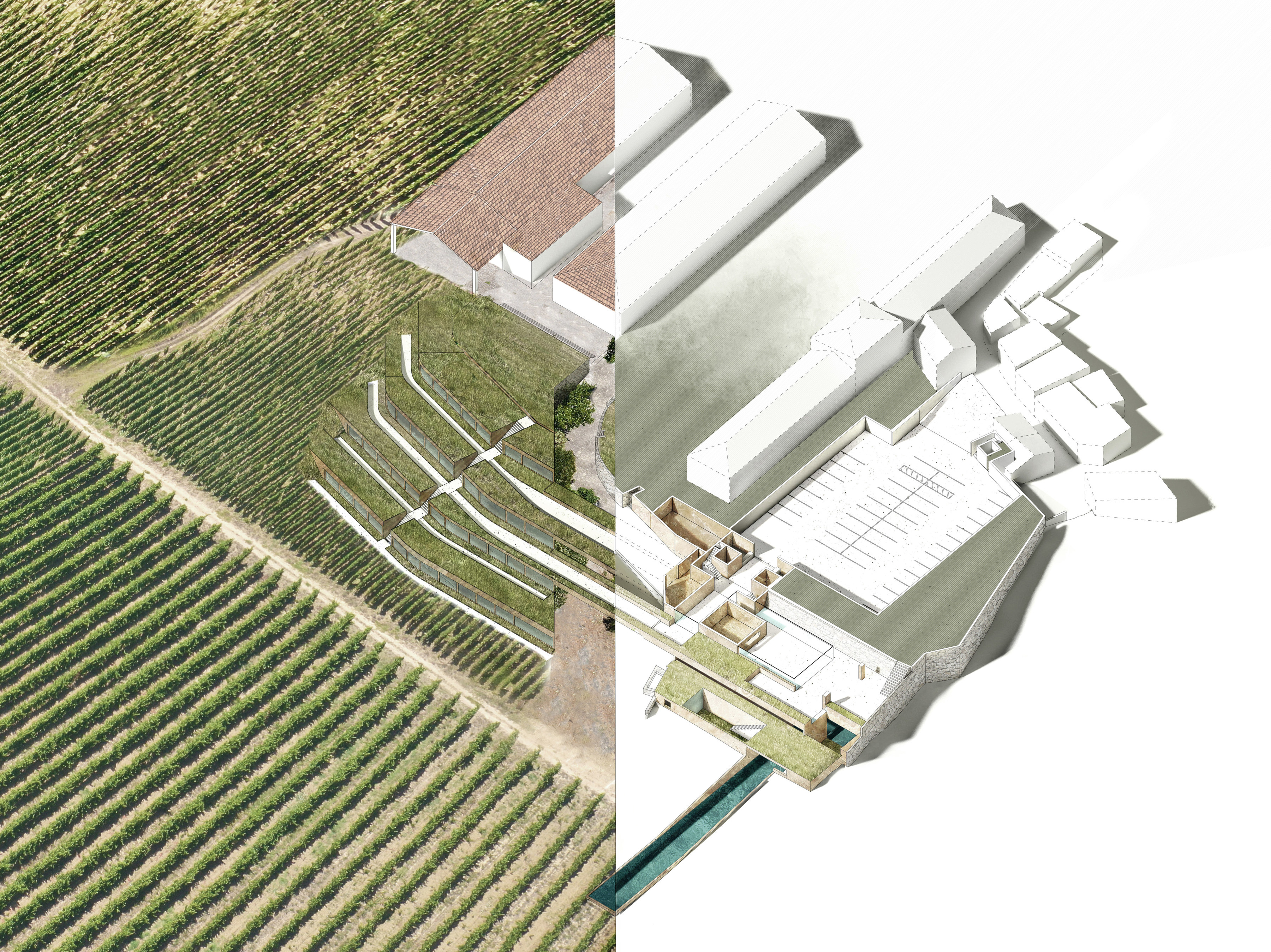 Monte D'Oiro Wine Hotel Competition - Projects - Baird Architects