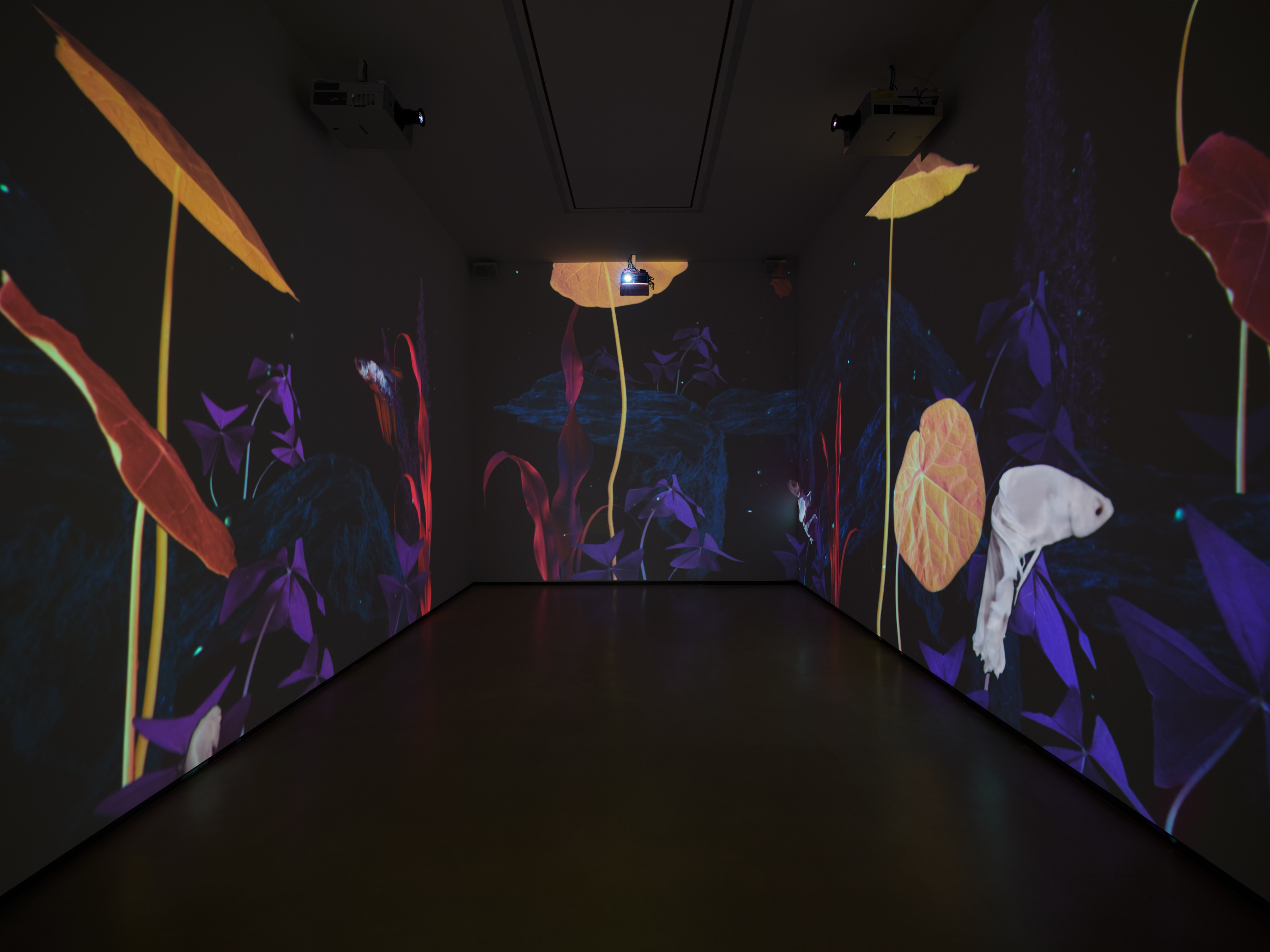 Ground Work - Curated by Joey Lico - Exhibitions - Sean Kelly Gallery