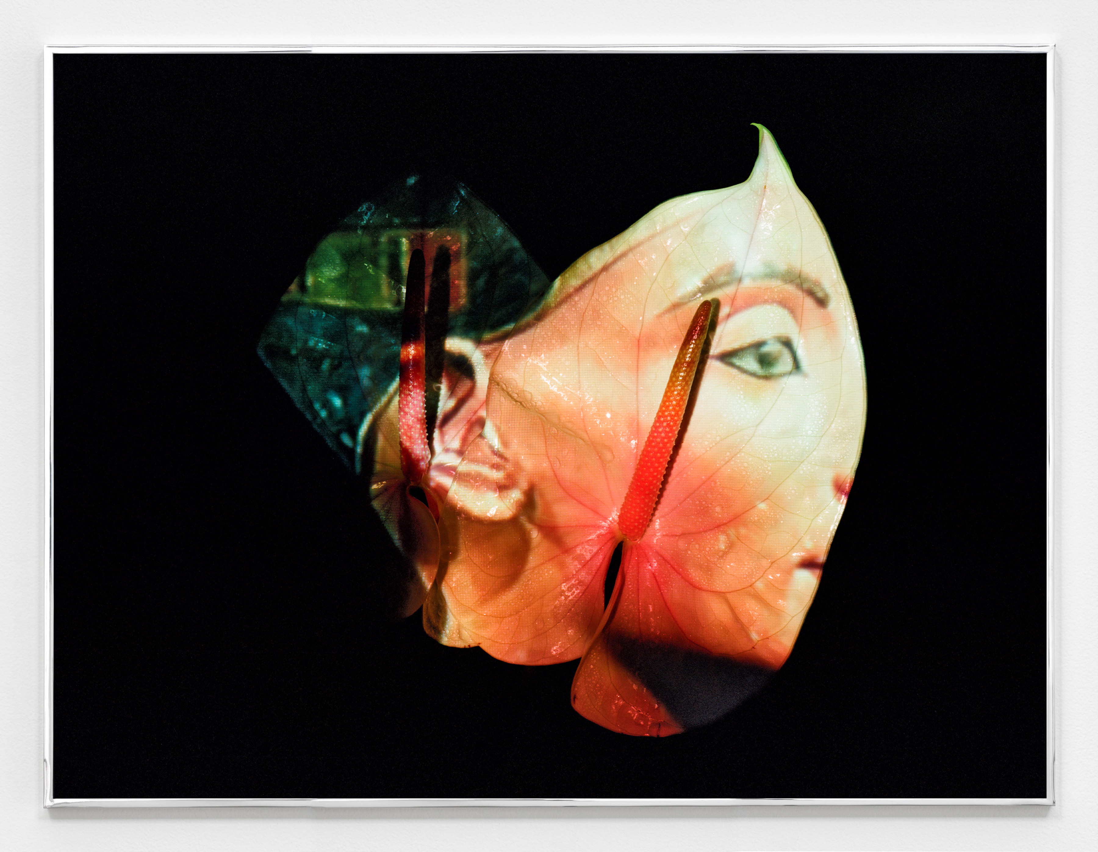 Awol Erizku - Moon, Turn the Flames...Gently Gently Away - Exhibitions - Sean Kelly Gallery