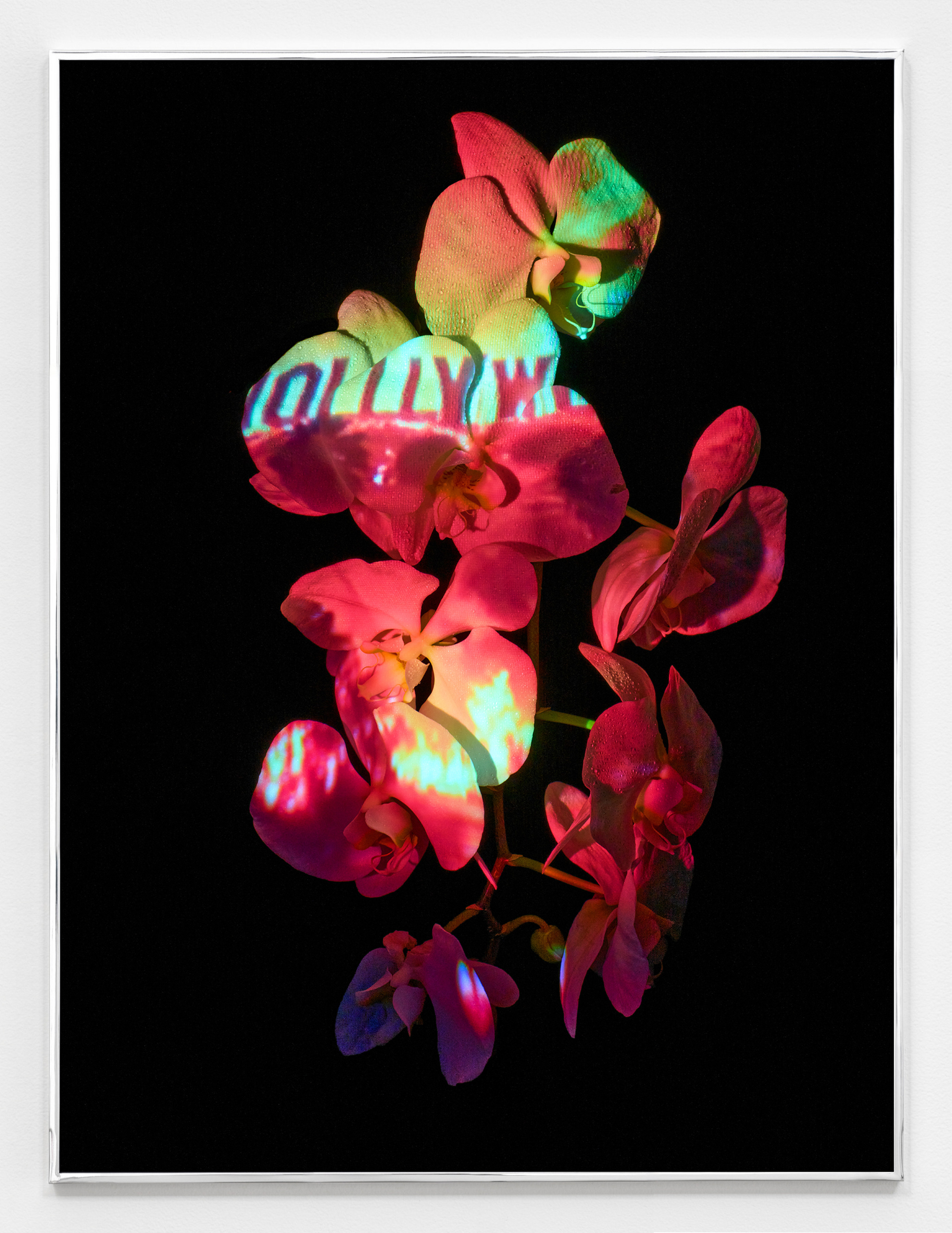 Awol Erizku - Moon, Turn the Flames...Gently Gently Away - Exhibitions - Sean Kelly Gallery