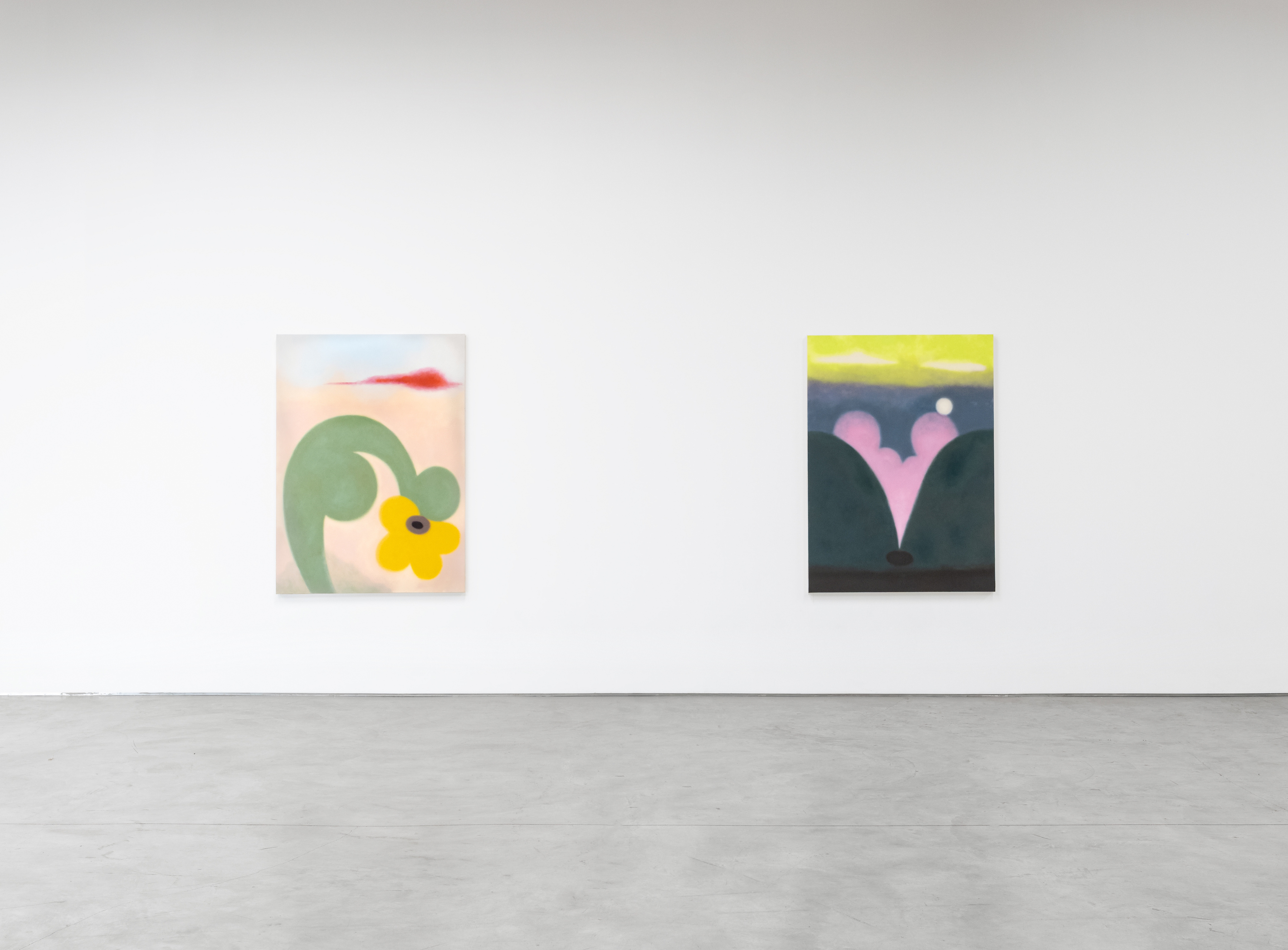 Installation view of Samala Meza’s “This Grass is Green” at Sidecar, 2025.