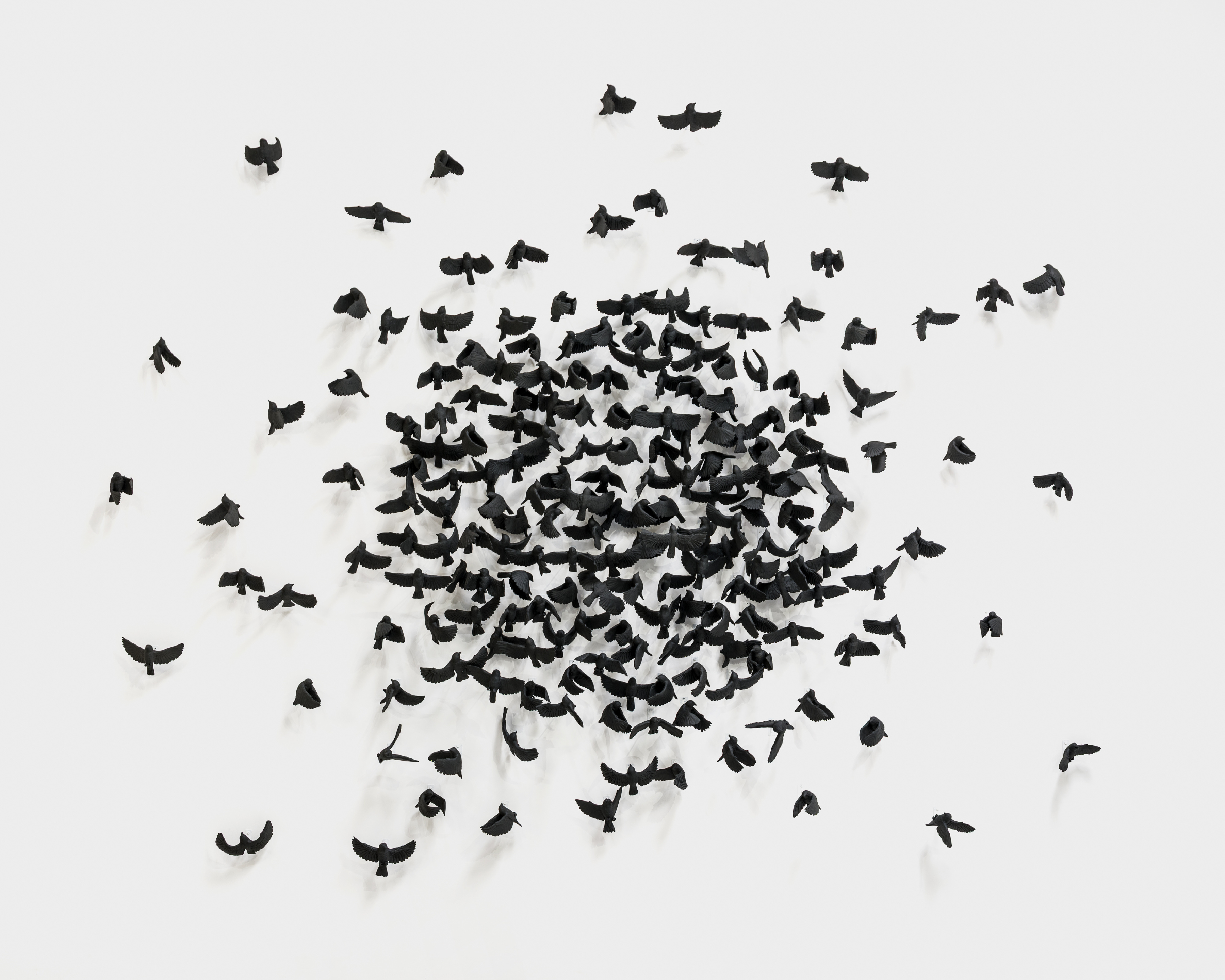 A wall mounted sculpture by Camilla Taylor of 281 ceramic black sparrows. 