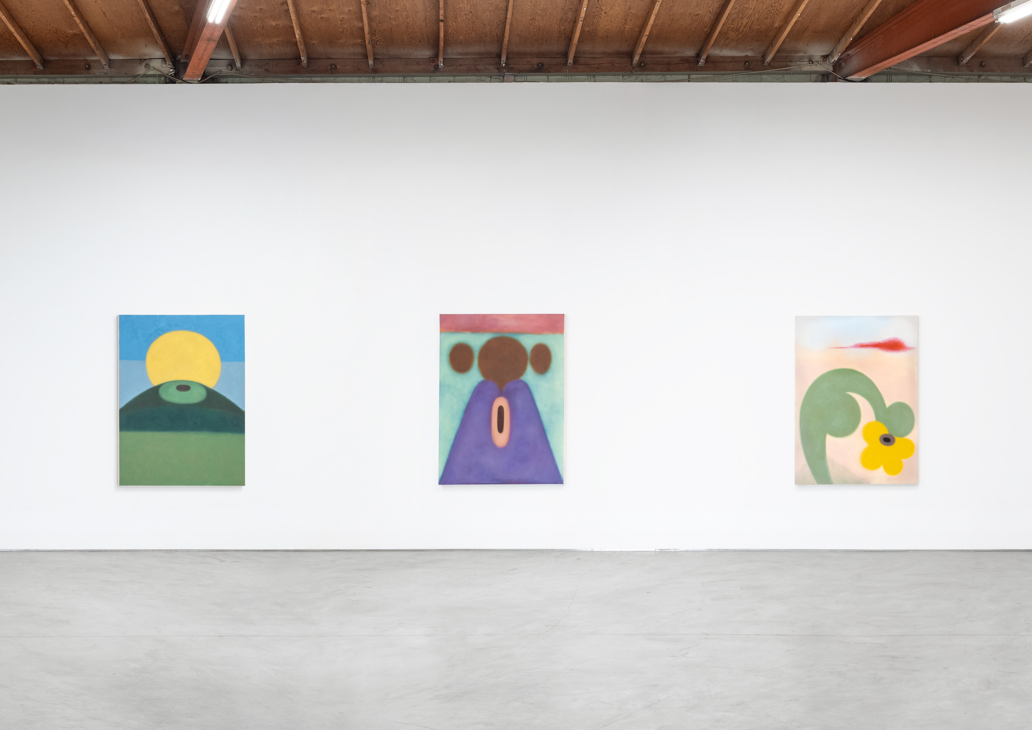 Installation view of Samala Meza’s “This Grass is Green” at Sidecar, 2025.