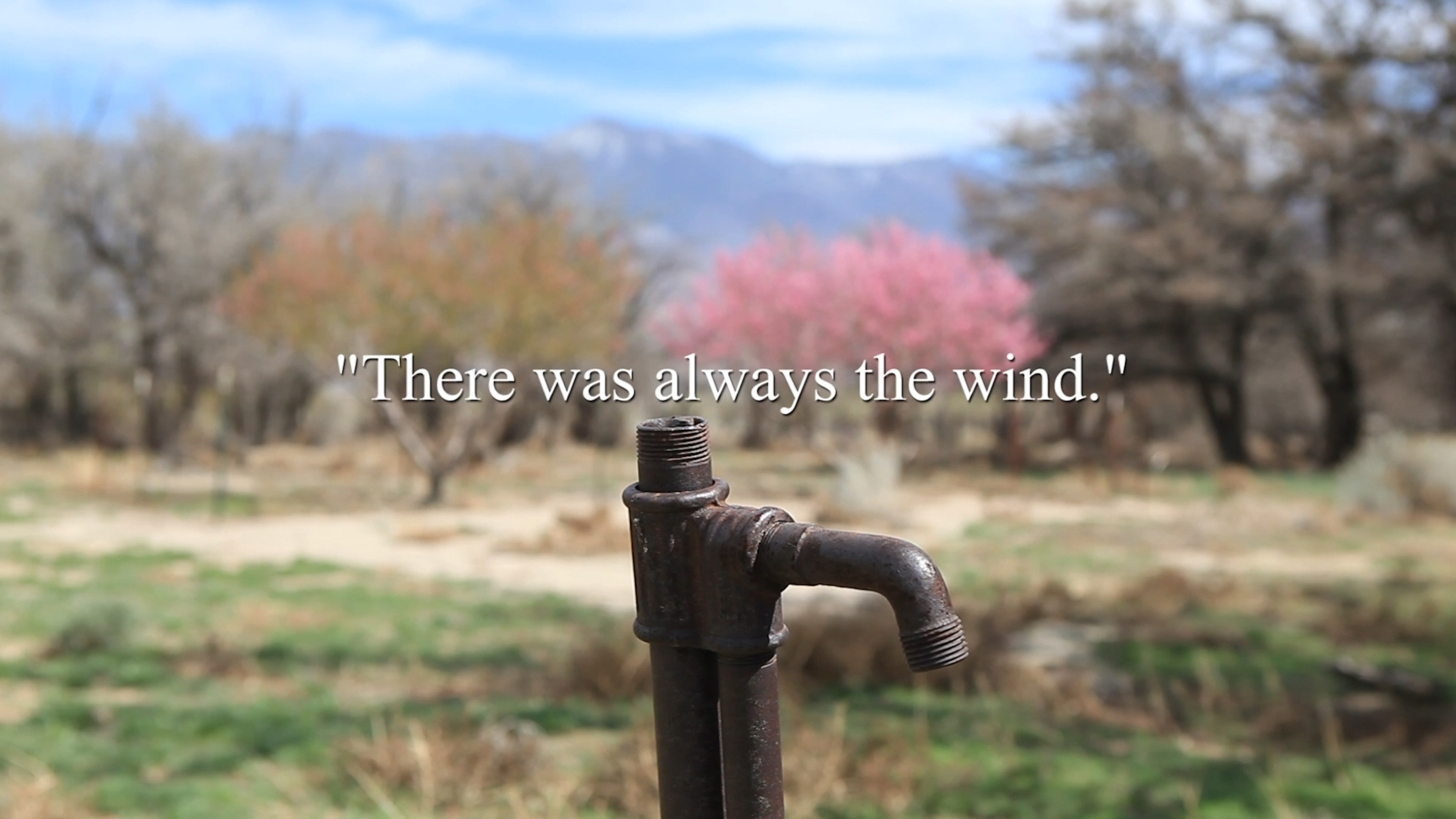 A film still of a water spout in a forest clearing with the phrase "There was always the wind" across the center.