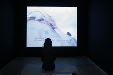 A person seating in front of a screen currently playing the film "8848-1.86," 2005