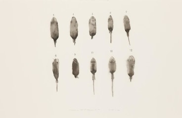 Image of GUO HONGWEI's 郭鸿蔚 Still Life #4 生物 #4, 2010