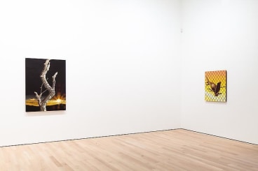 Surface Tension Installation view