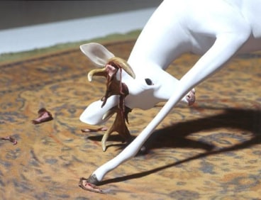 close up of a white deer with flesh hanging from his antlers
